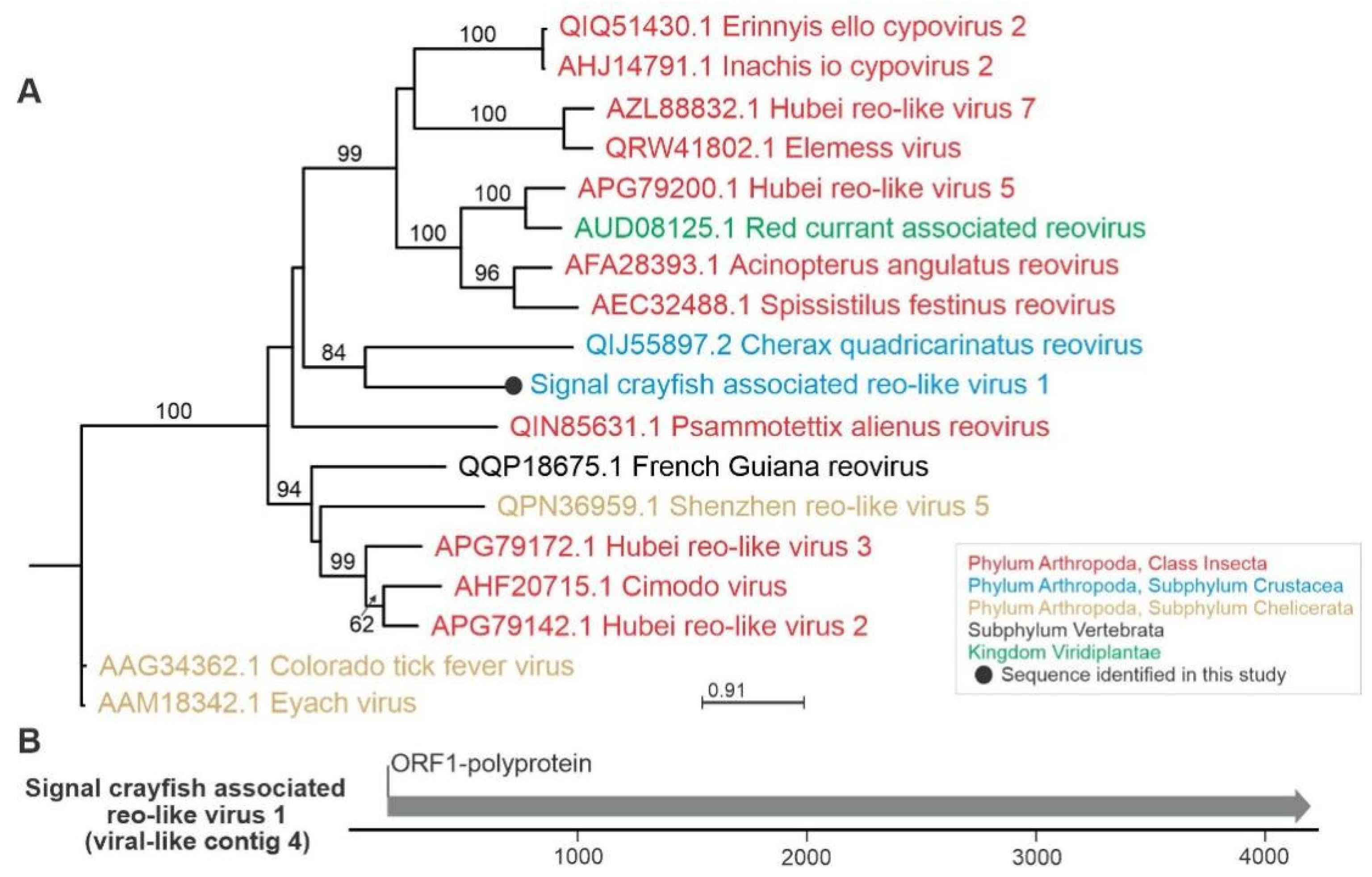 Viruses 13 02259 g004 550