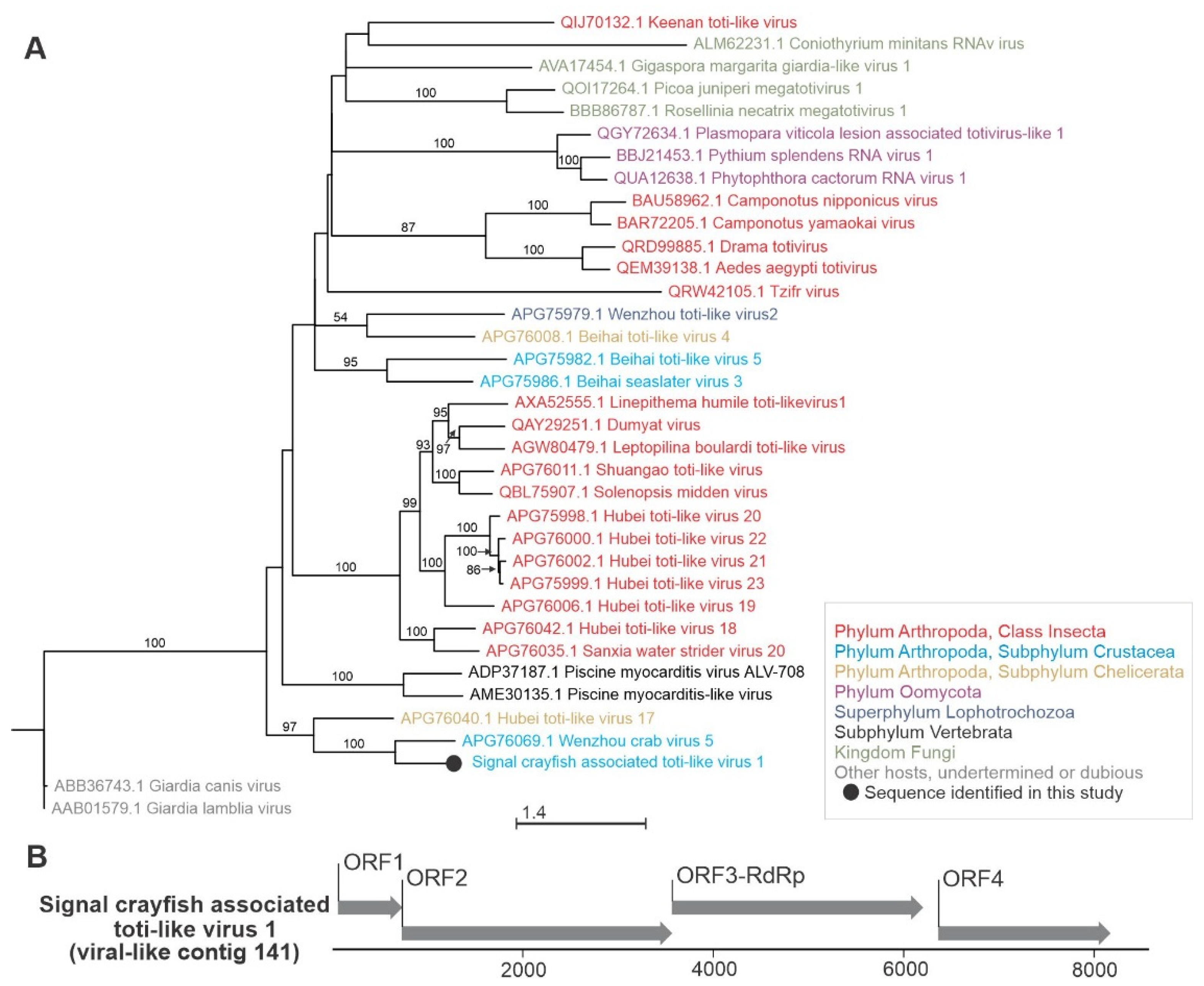 Viruses 13 02259 g006 550