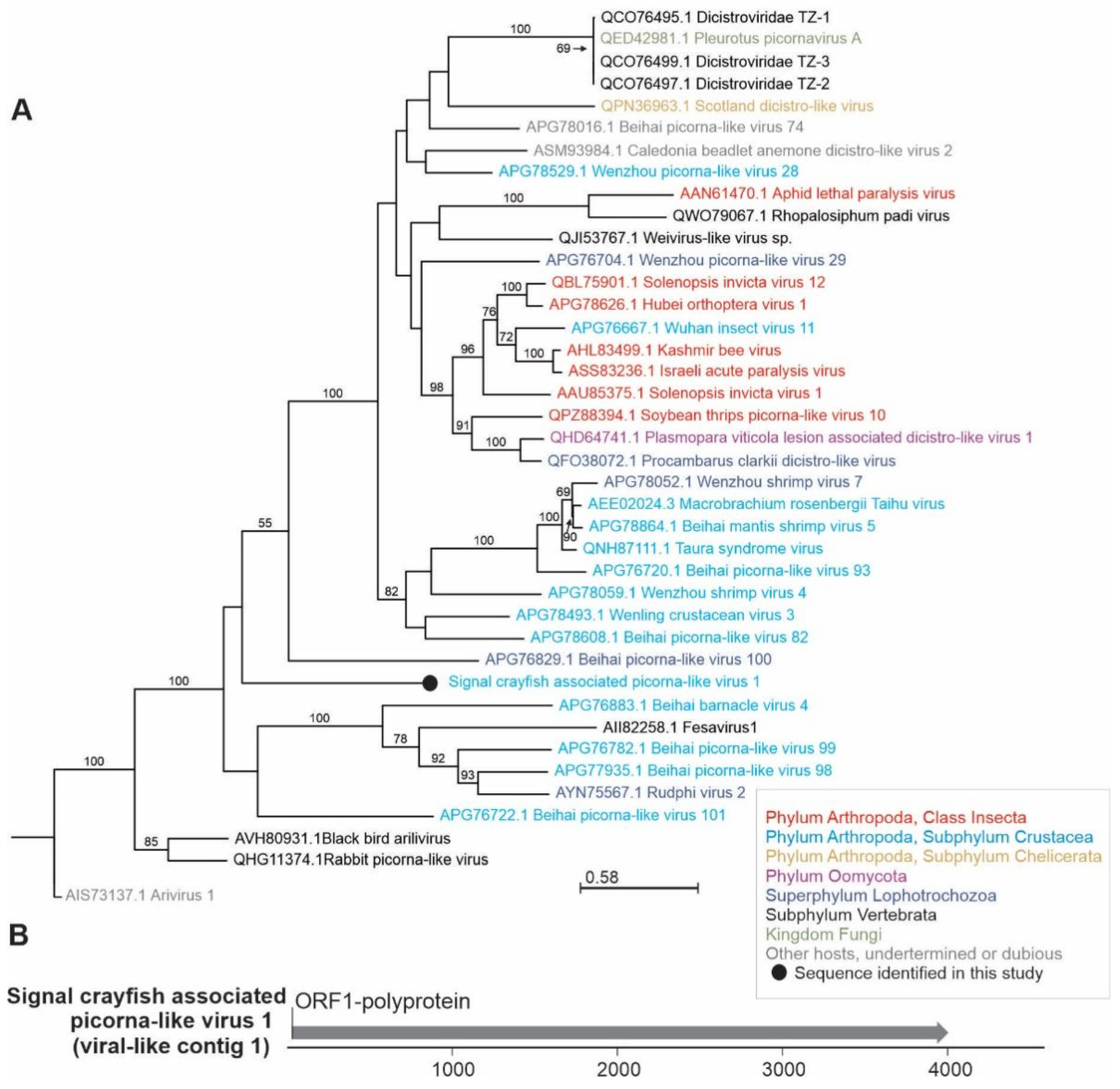 Viruses 13 02259 g007 550