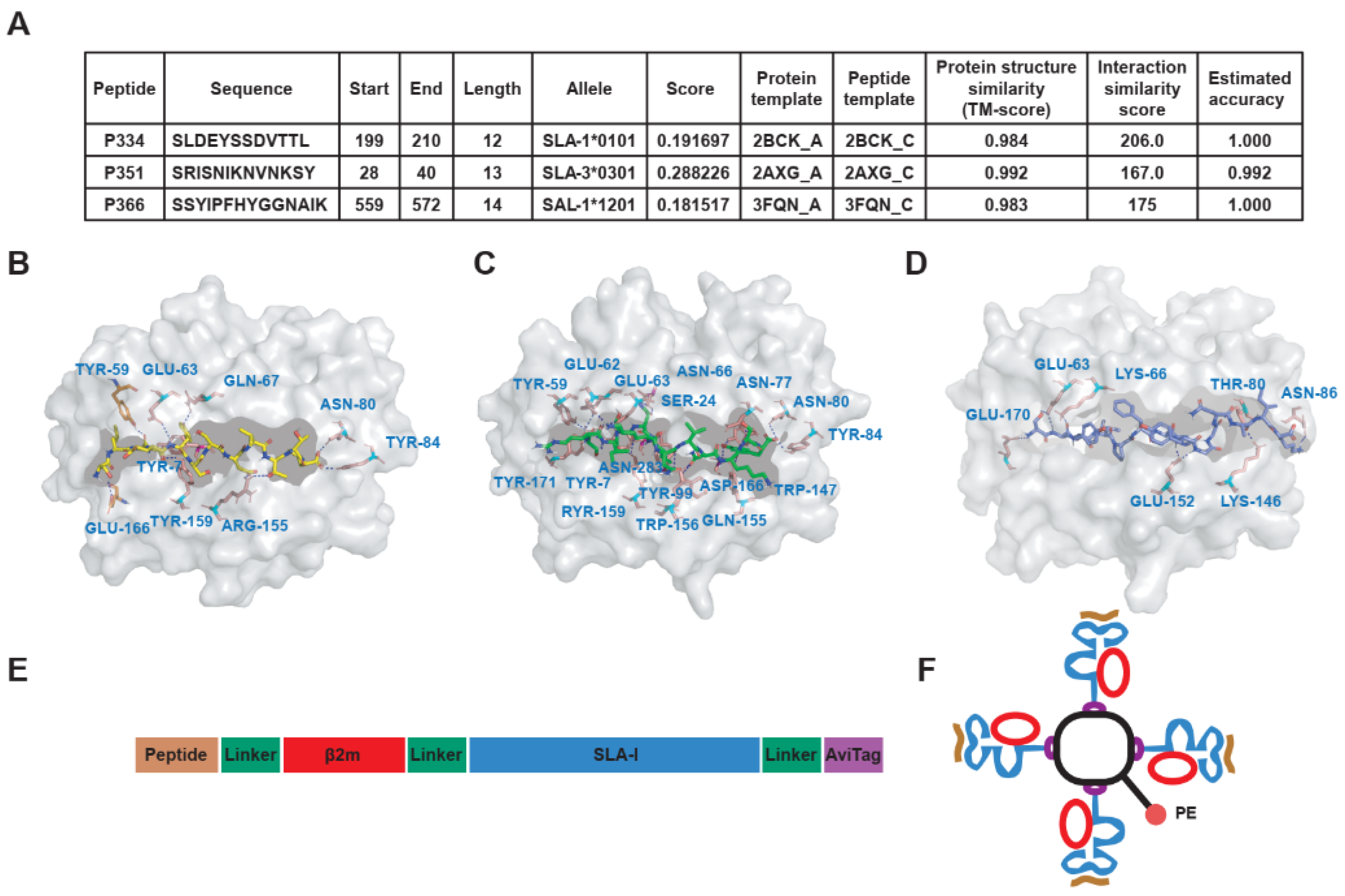 Viruses 13 02264 g003