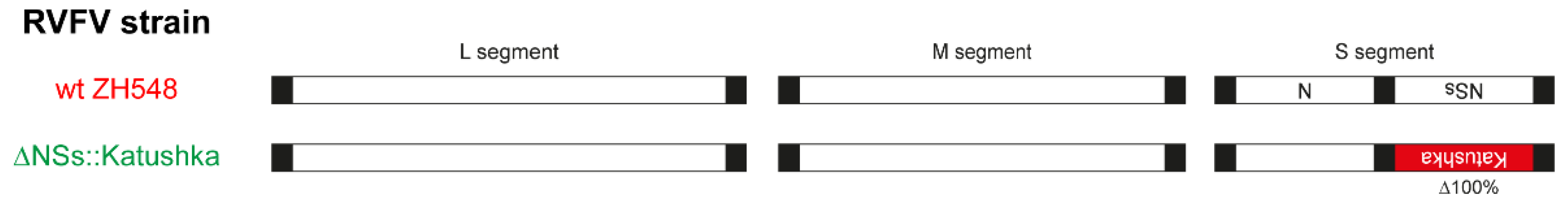 Viruses 13 02265 g001 550