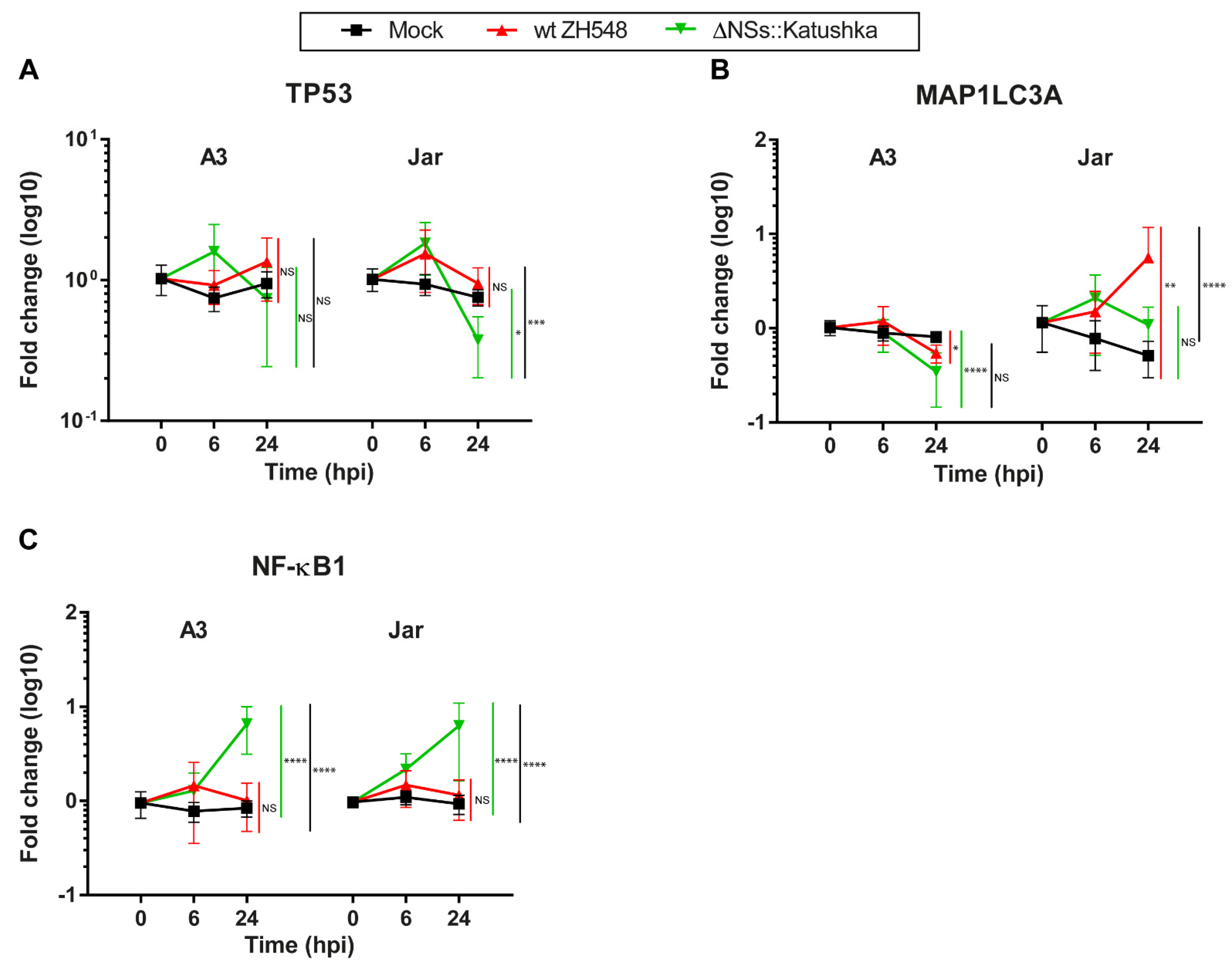Viruses 13 02265 g007 550