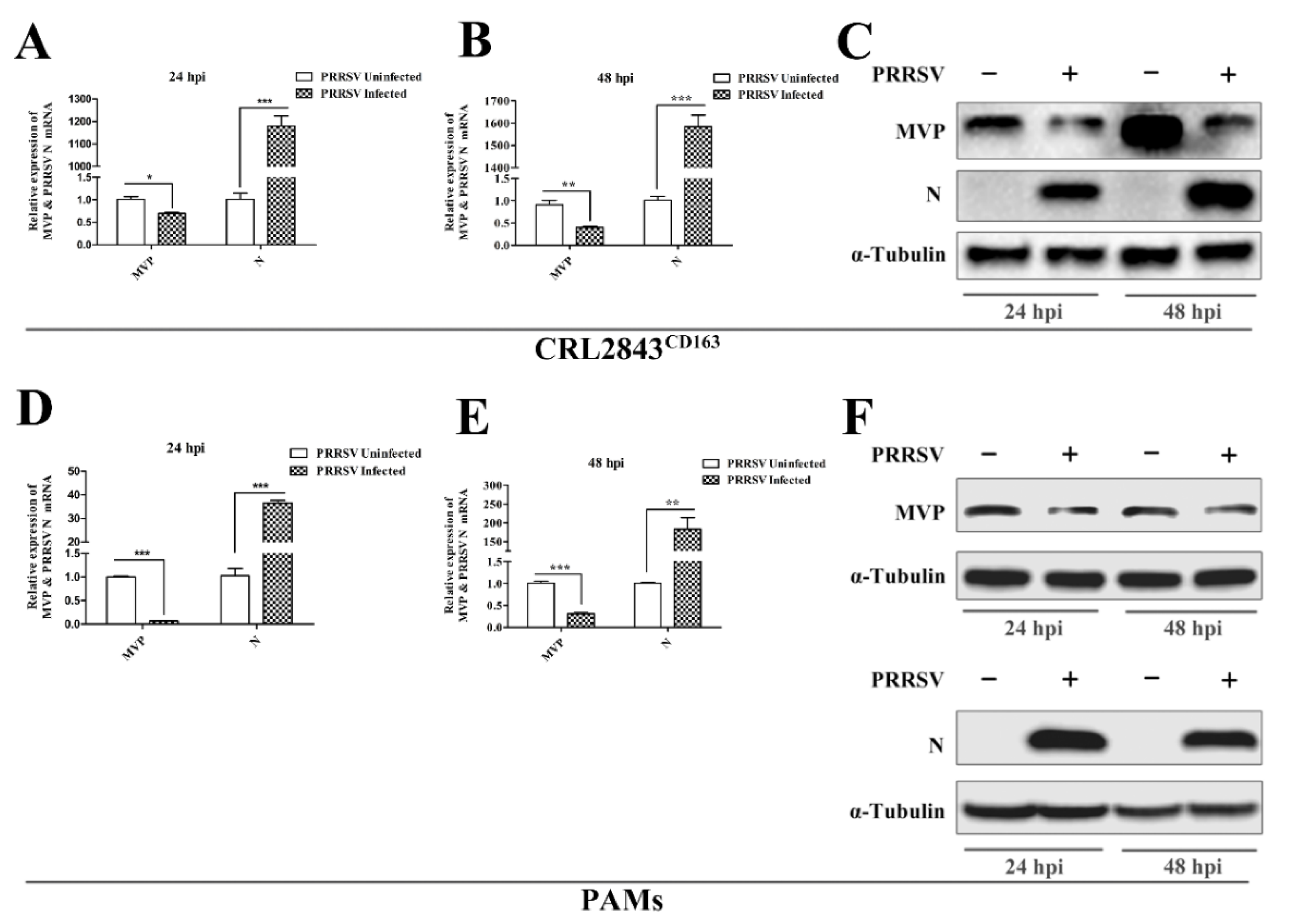 Viruses 13 02267 g001 Viruses 13 02267 g001