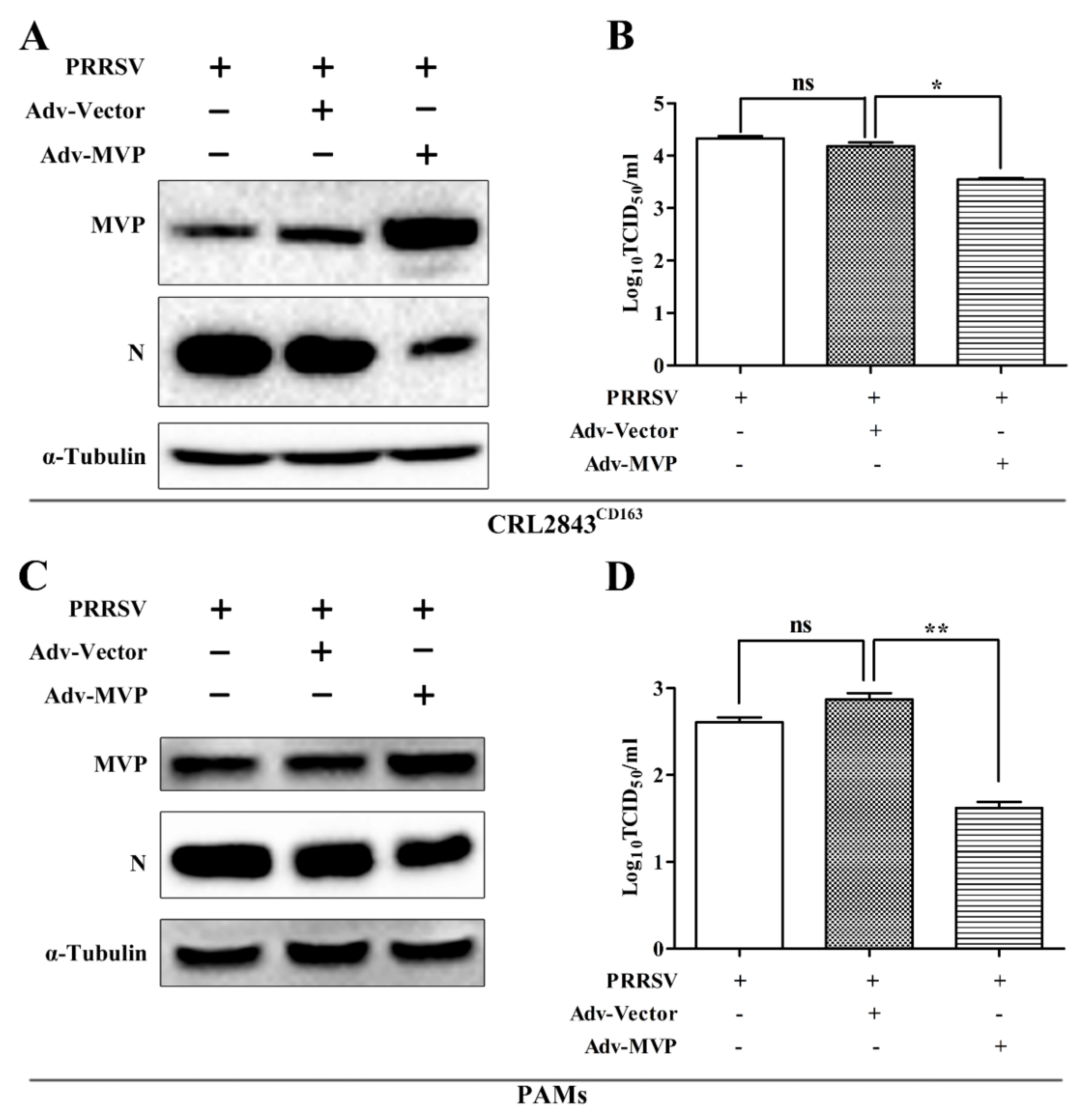 Viruses 13 02267 g002 Viruses 13 02267 g002