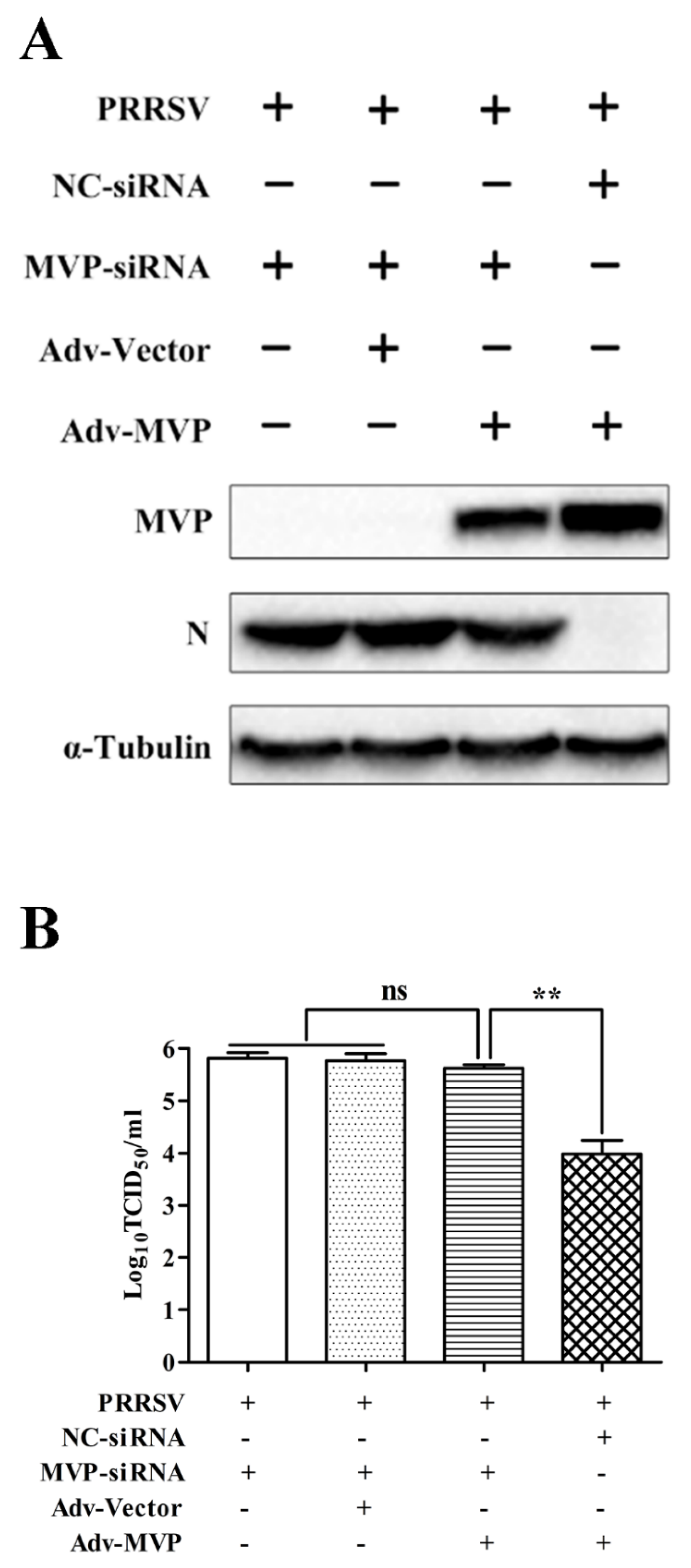 Viruses 13 02267 g005 Viruses 13 02267 g005