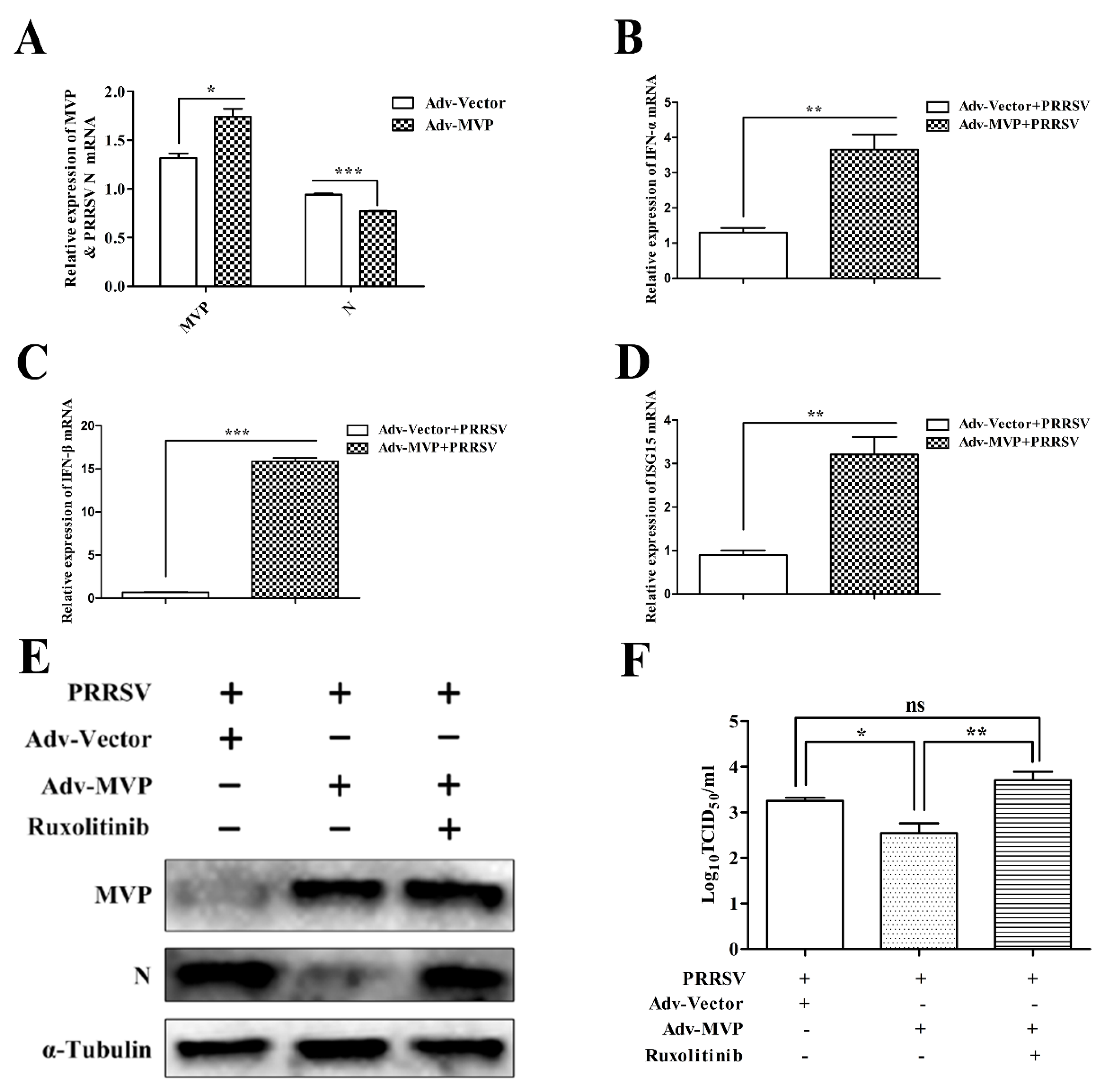 Viruses 13 02267 g006 Viruses 13 02267 g006