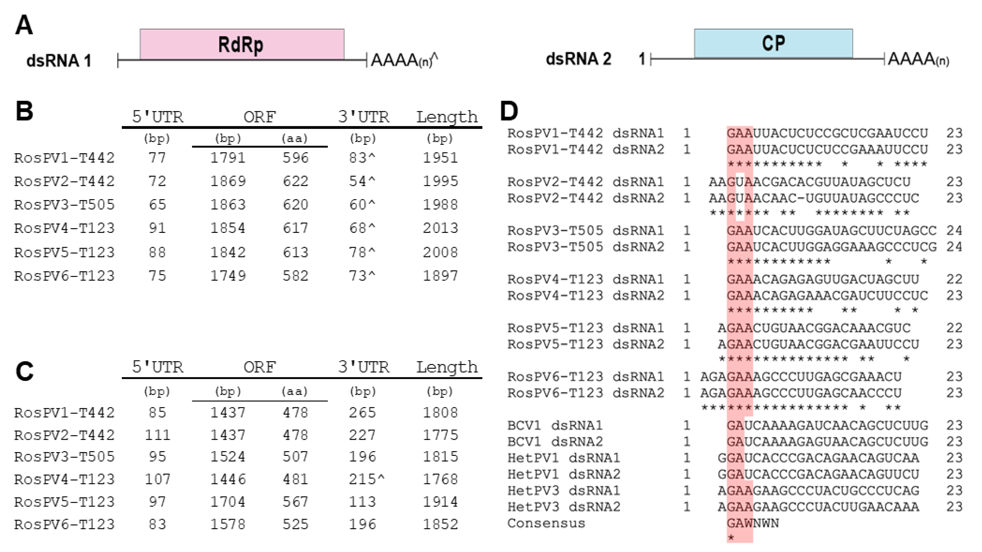 Viruses 13 02269 g002 Viruses 13 02269 g002