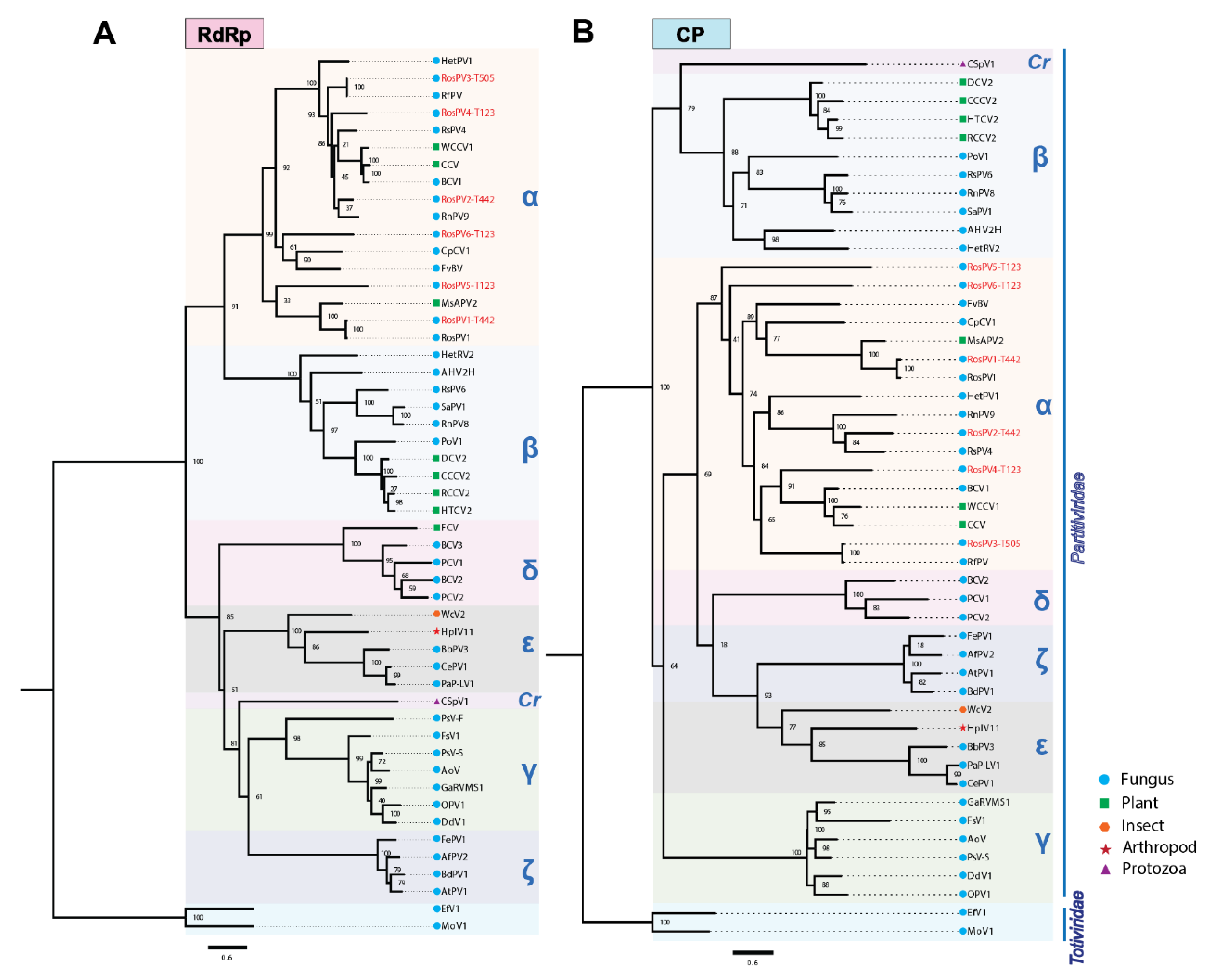 Viruses 13 02269 g003 Viruses 13 02269 g003