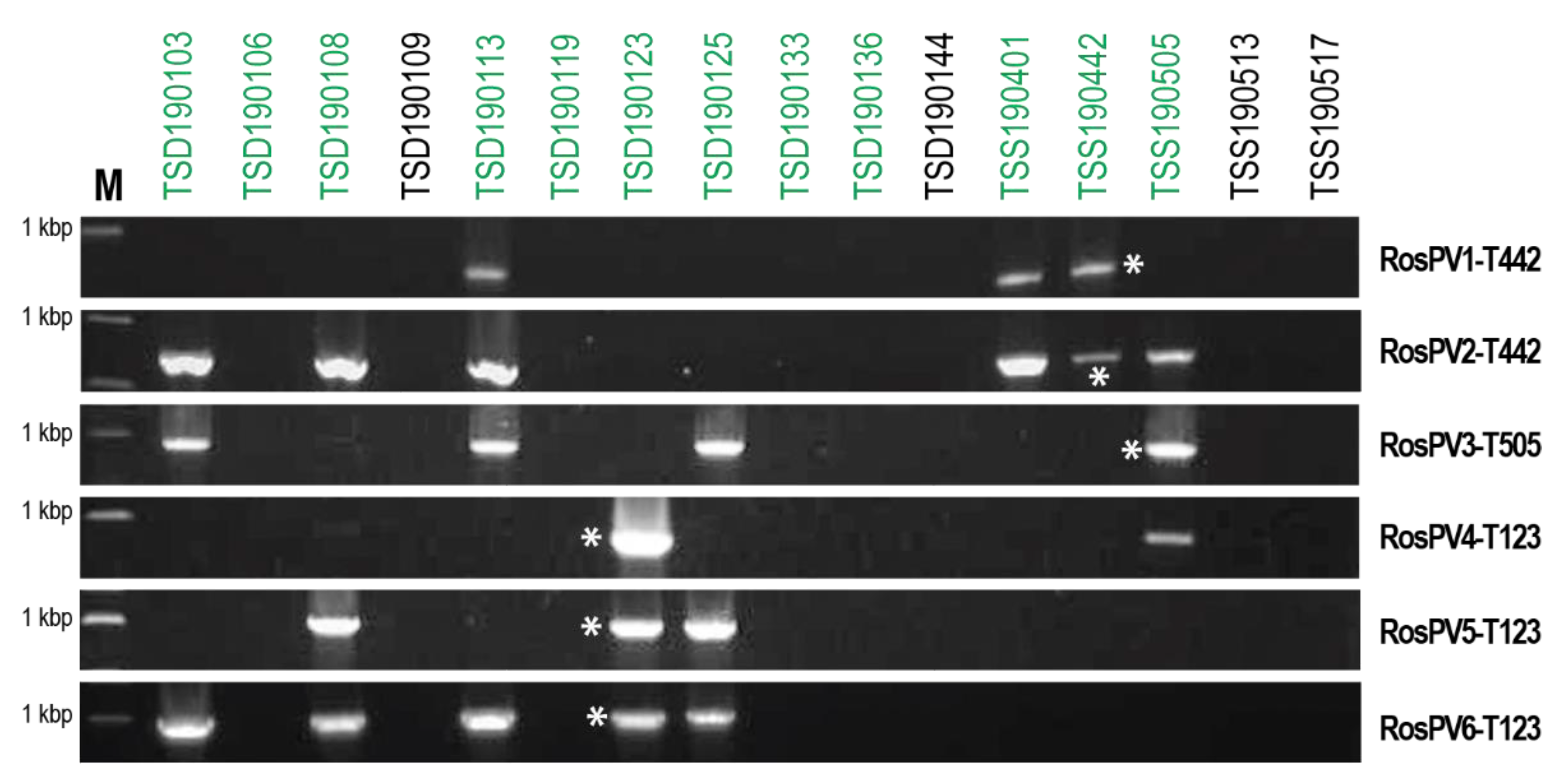 Viruses 13 02269 g004 Viruses 13 02269 g004