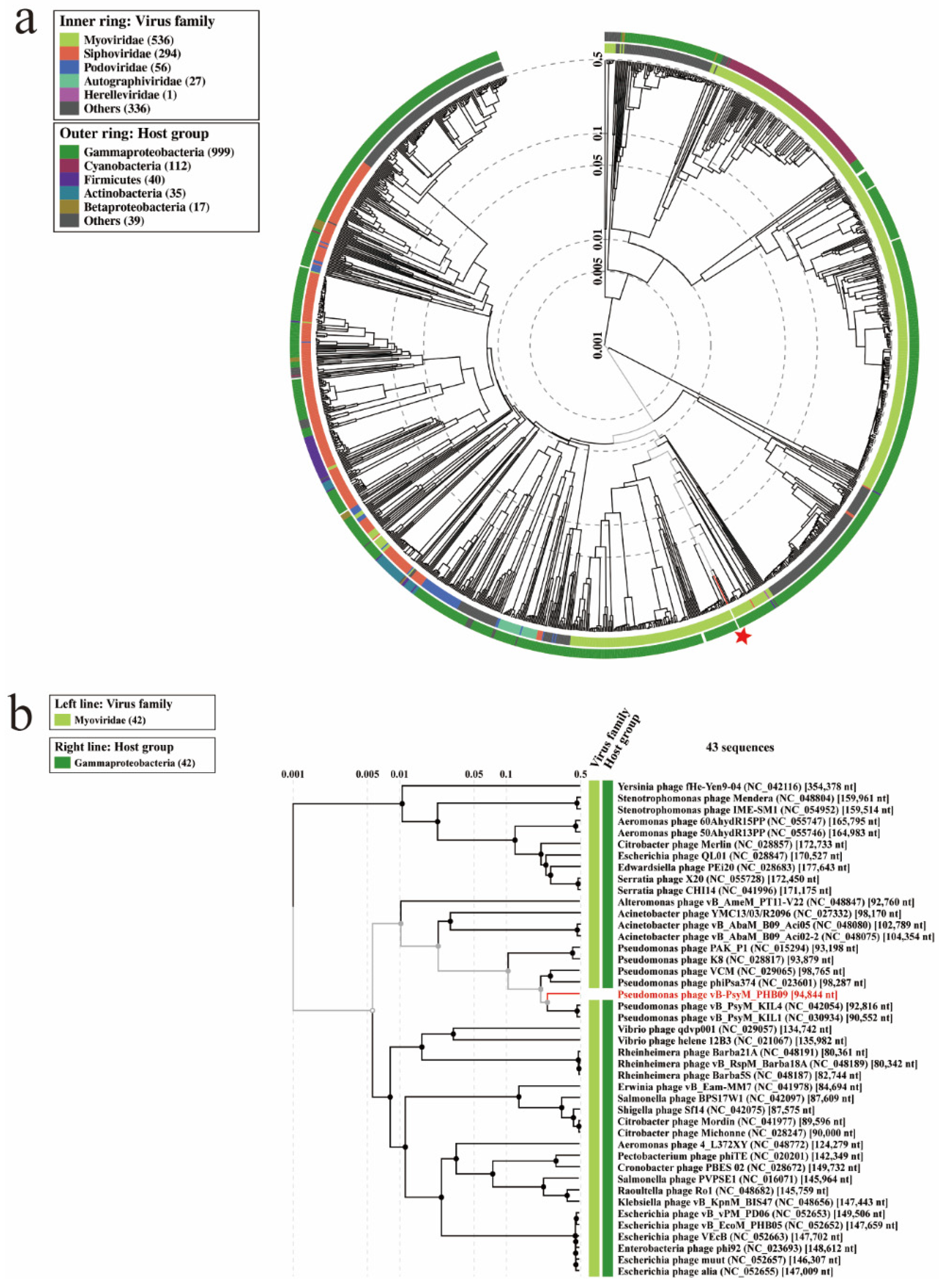 Viruses 13 02275 g006