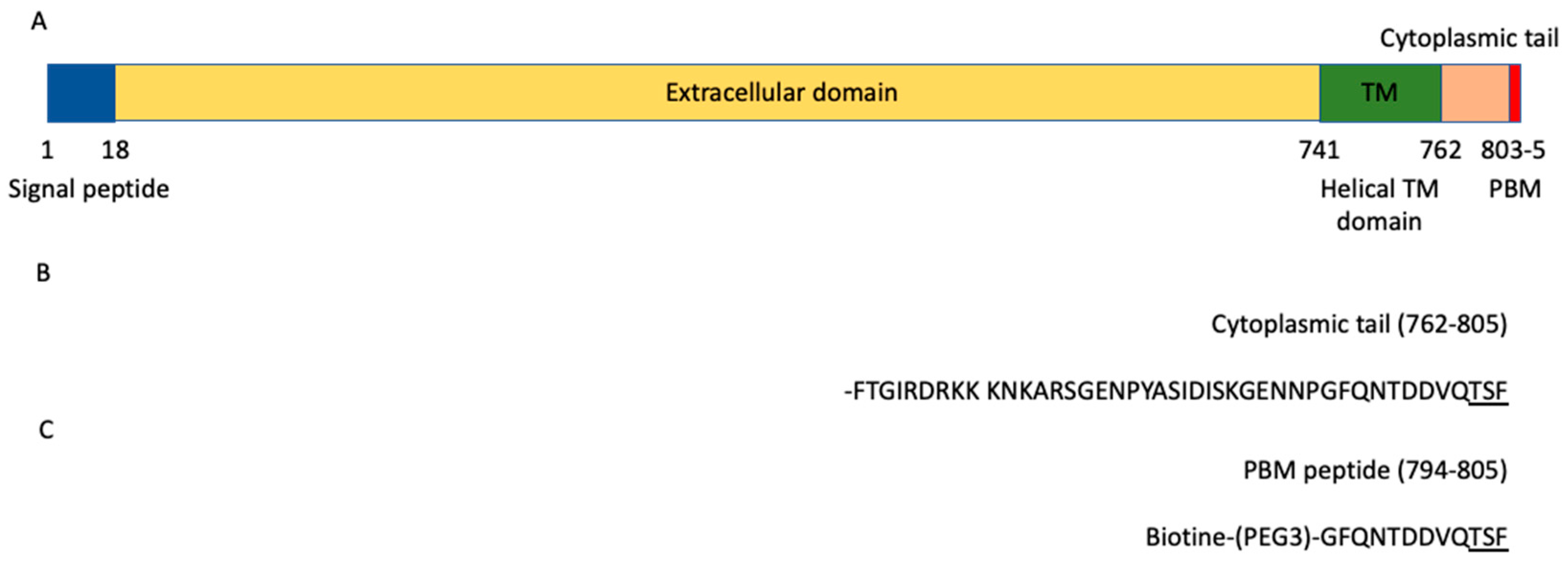 Viruses 13 02281 g001 Viruses 13 02281 g001