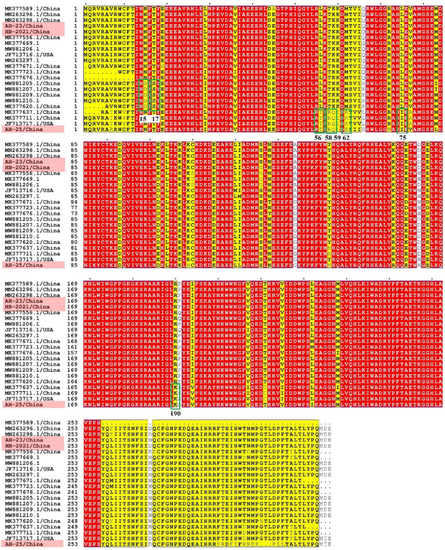 Viruses 13 02282 g003 Viruses 13 02282 g003