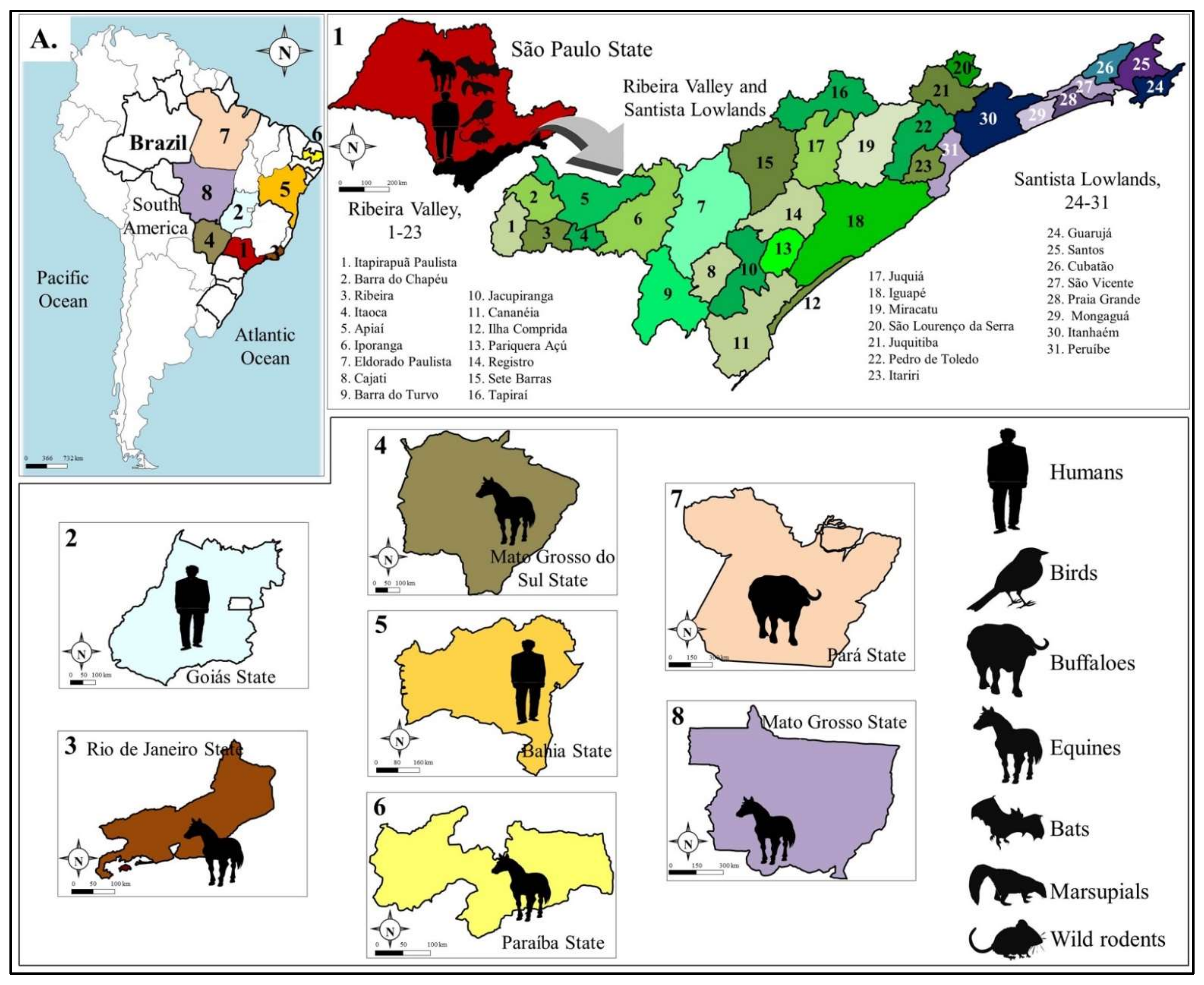 Viruses 13 02293 g003 Viruses 13 02293 g003