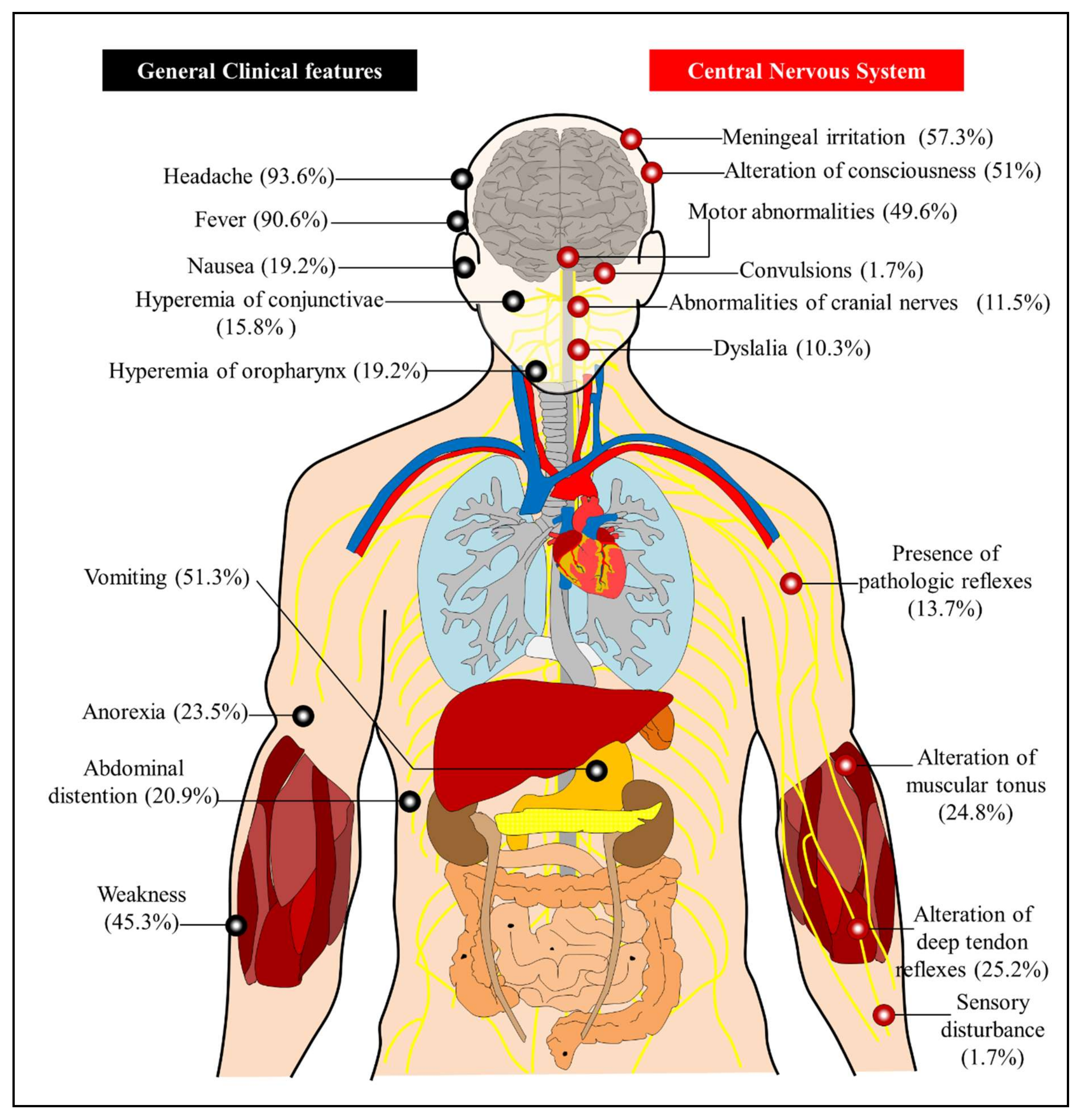 Viruses 13 02293 g004 Viruses 13 02293 g004
