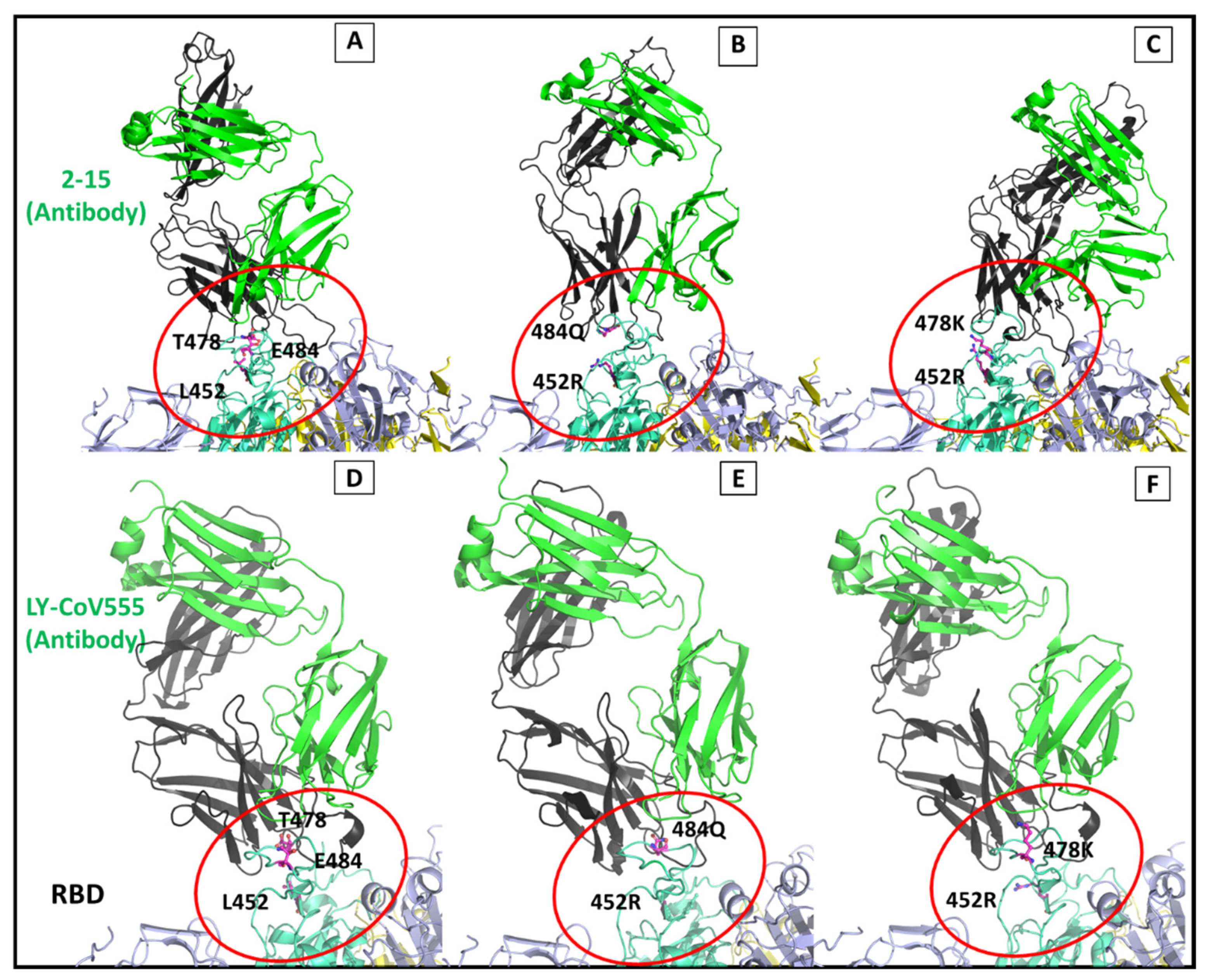 Viruses 13 02295 g012 550