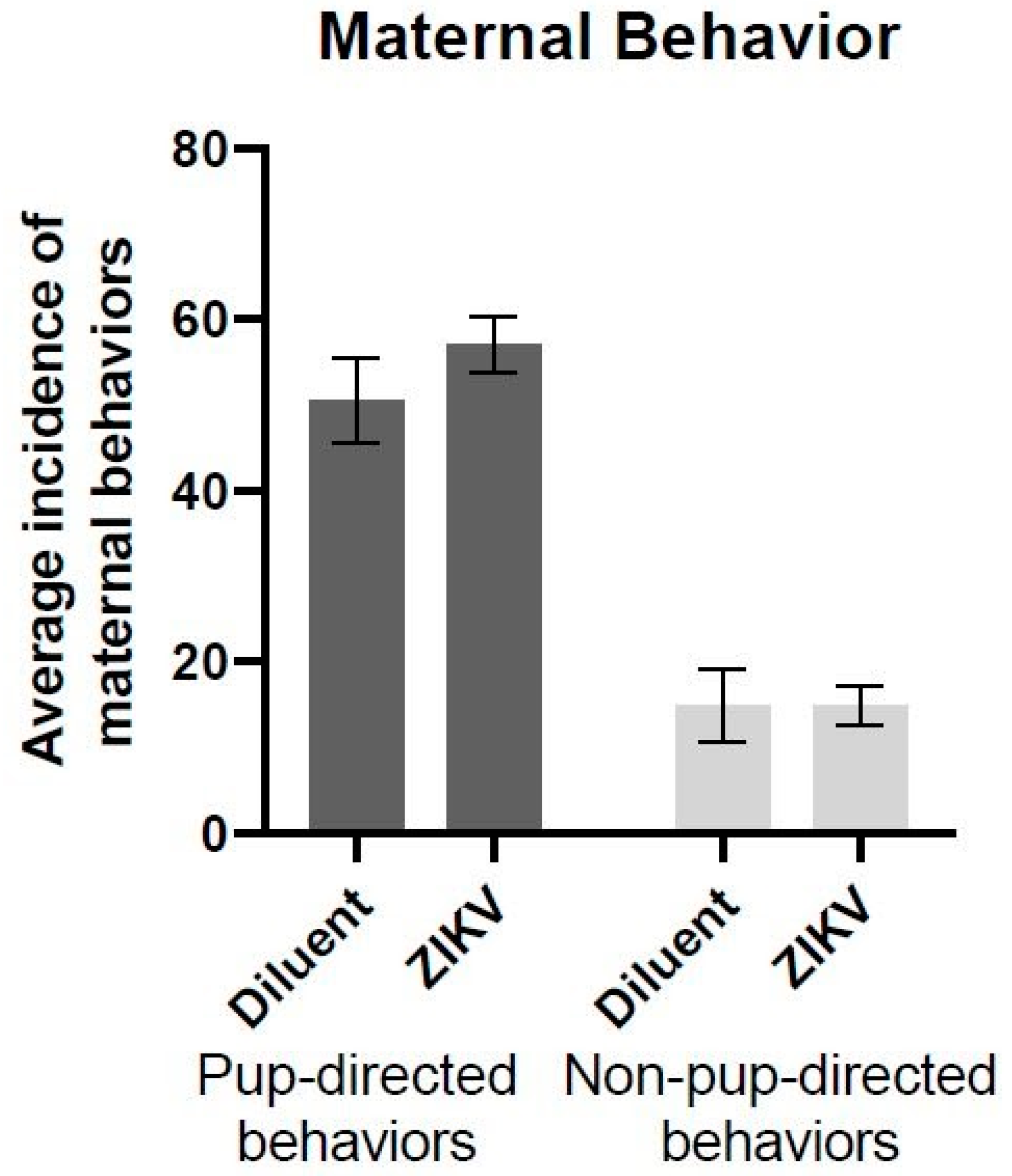 Viruses 13 02298 g001