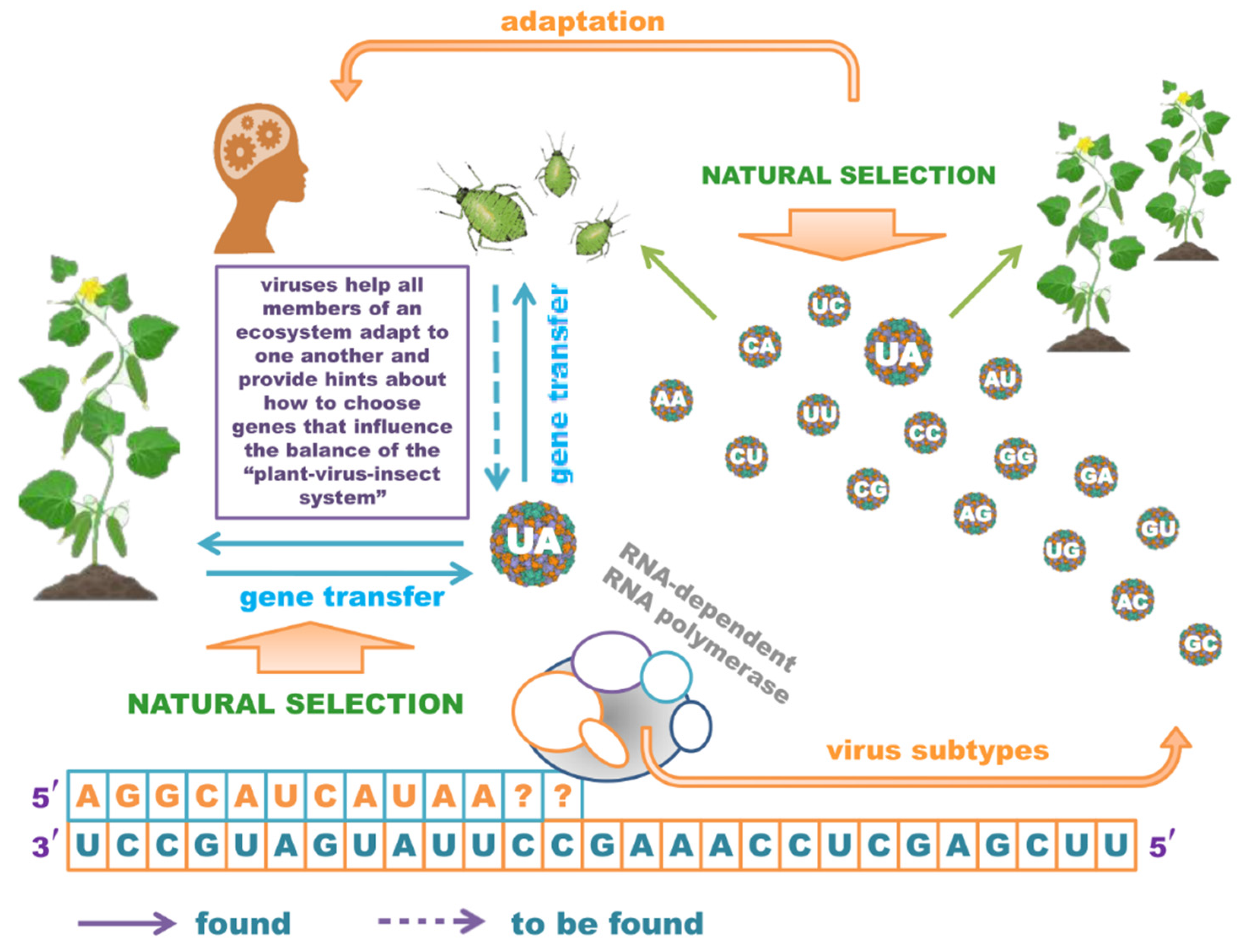 Viruses 13 02304 g001 Viruses 13 02304 g001