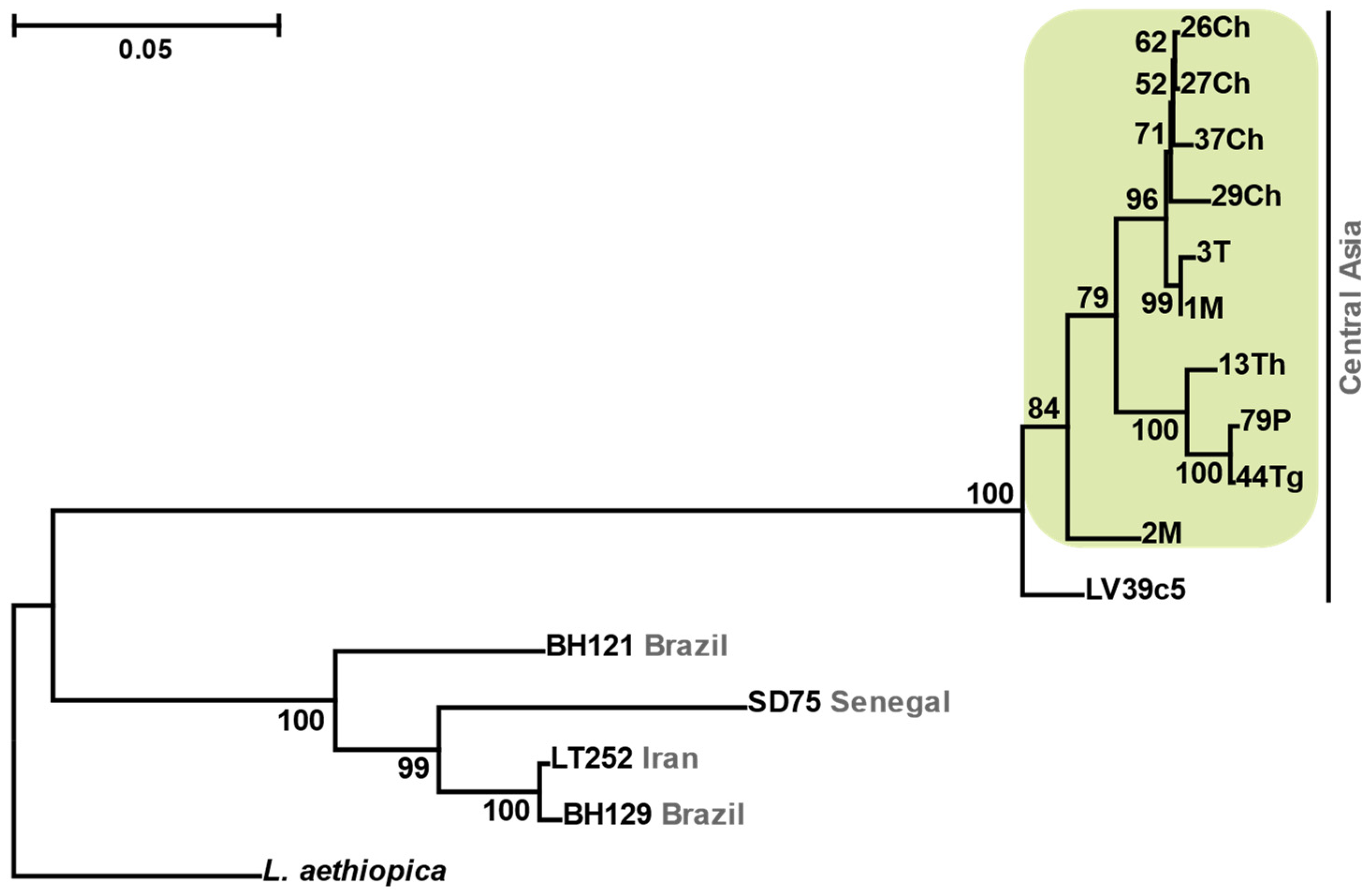 Viruses 13 02305 g001