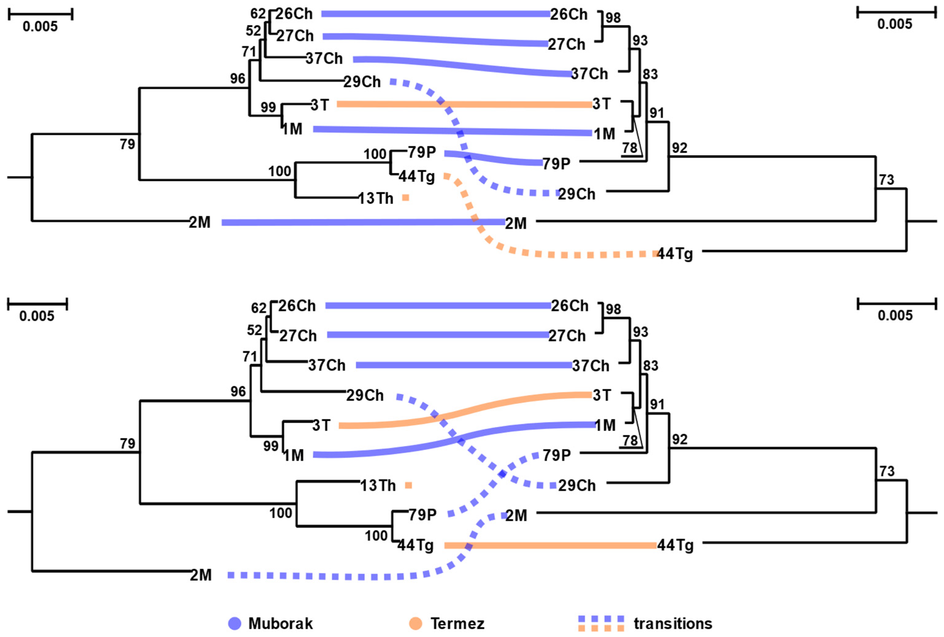 Viruses 13 02305 g003
