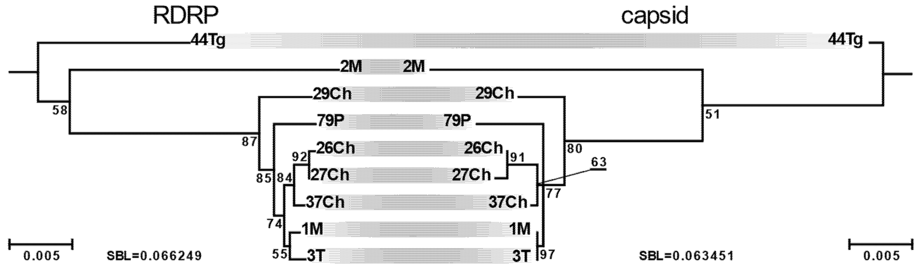 Viruses 13 02305 g004