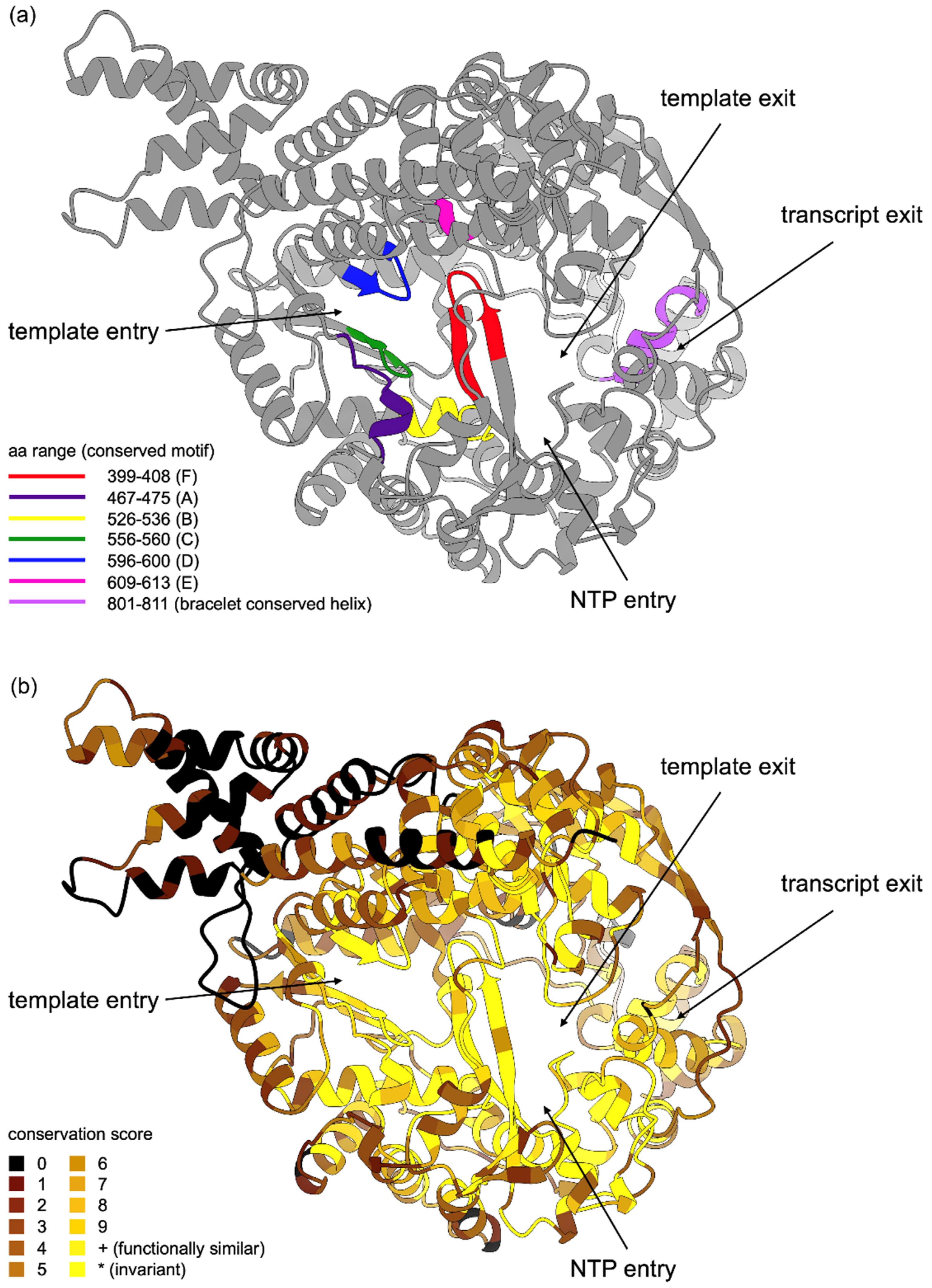 Viruses 13 02305 g006