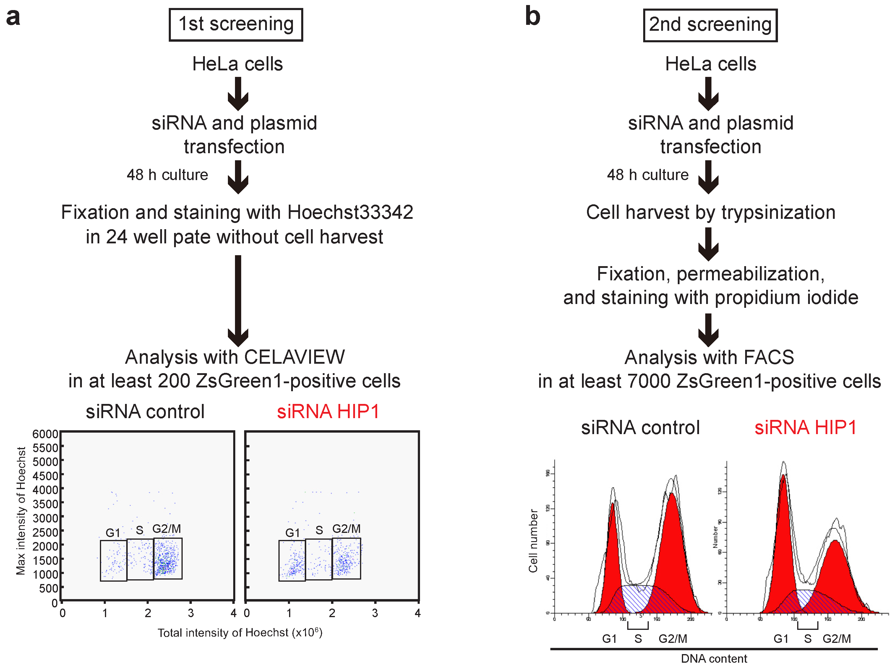 Viruses 13 02308 g001 Viruses 13 02308 g001
