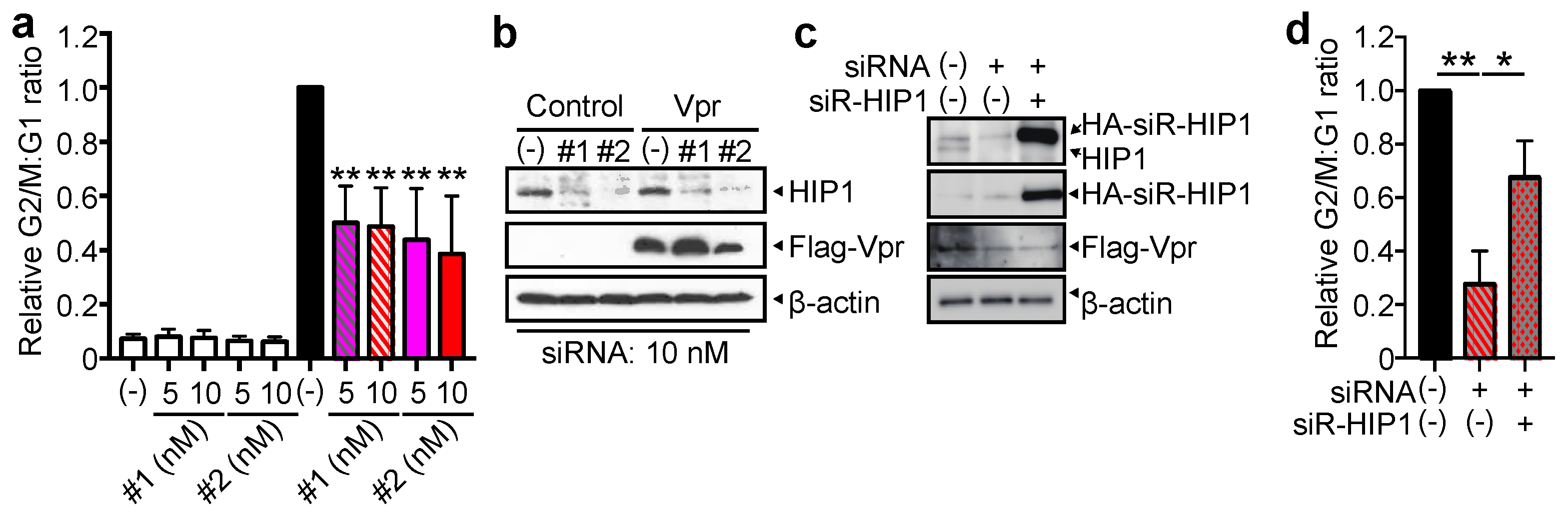 Viruses 13 02308 g002 Viruses 13 02308 g002