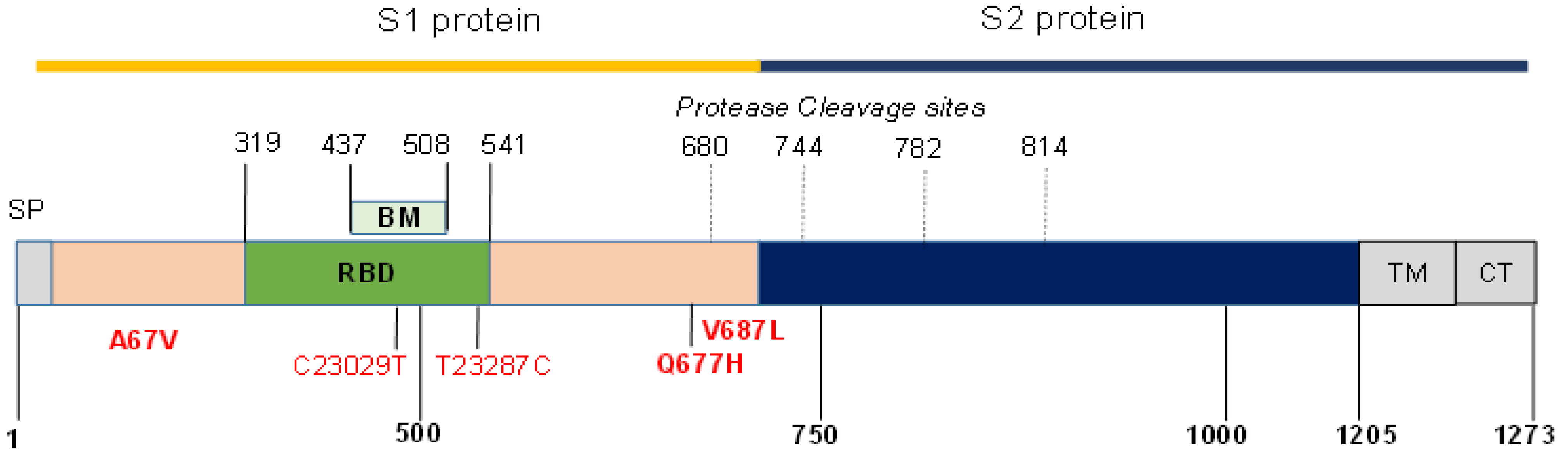 Viruses 13 02310 g001 550
