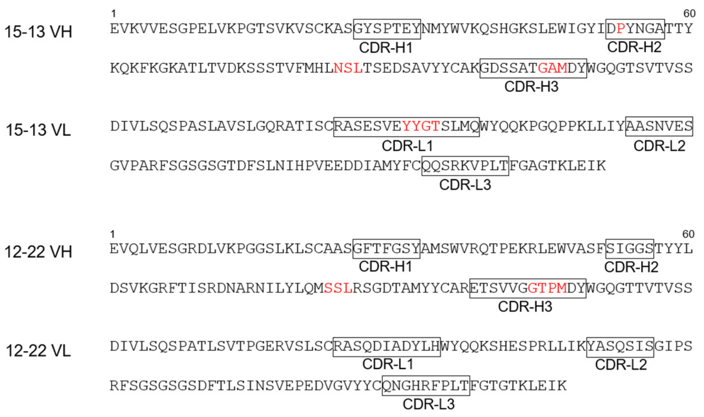 Characterization of Single-Chain Fv Fragments of