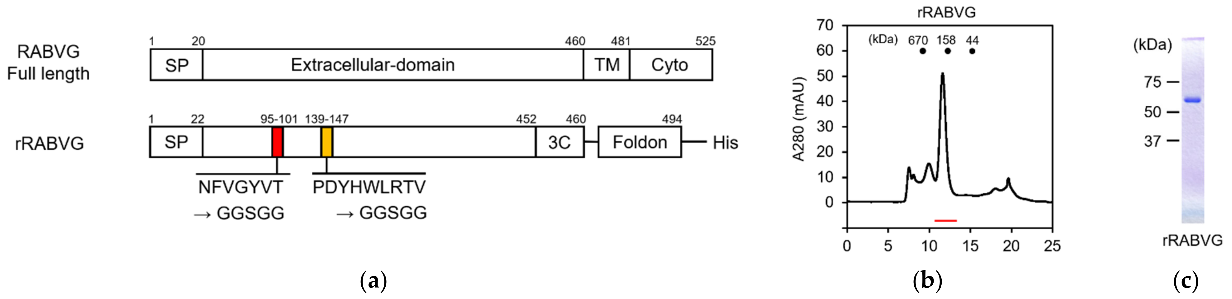 Viruses 13 02311 g003