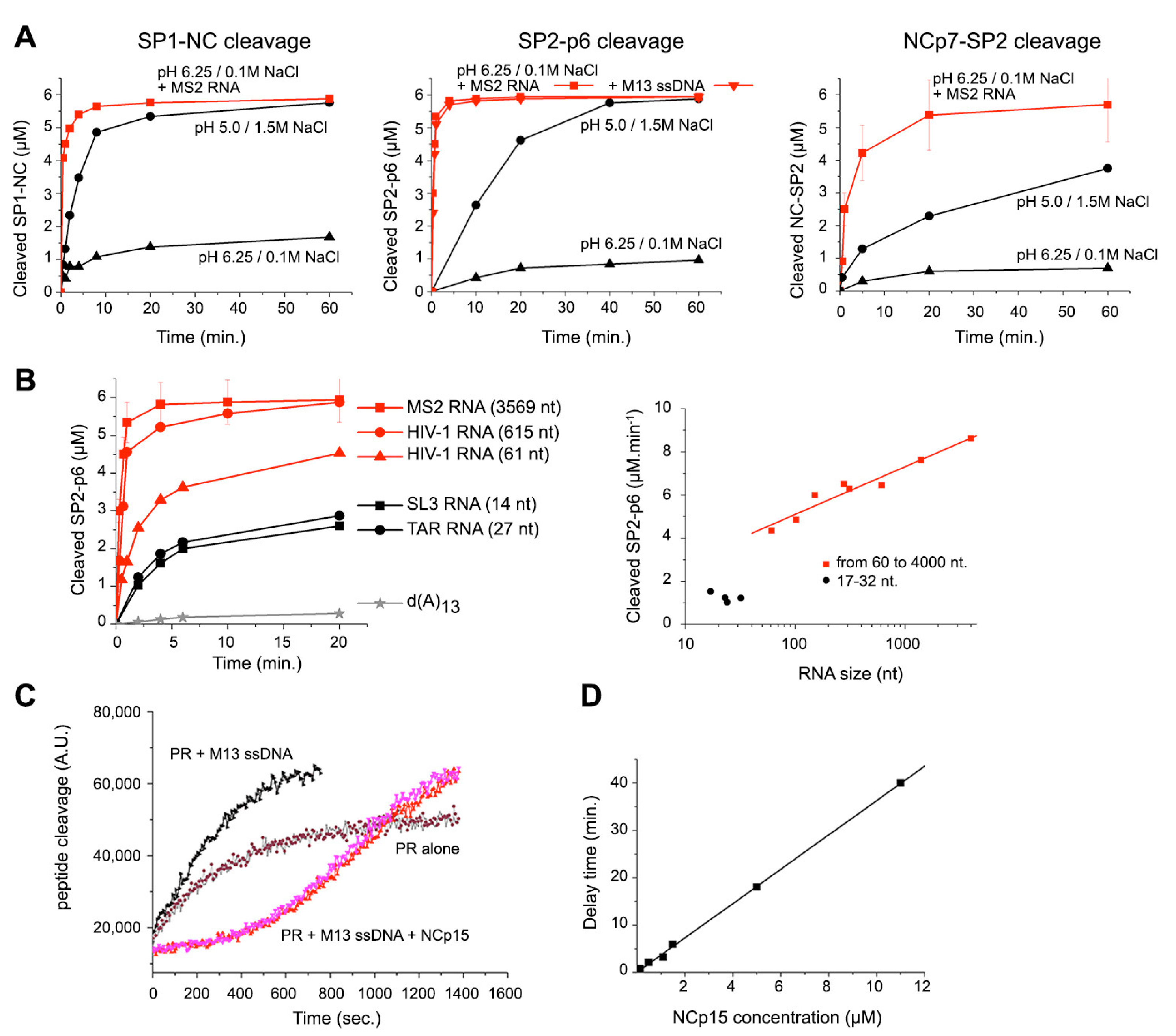 Viruses 13 02312 g003