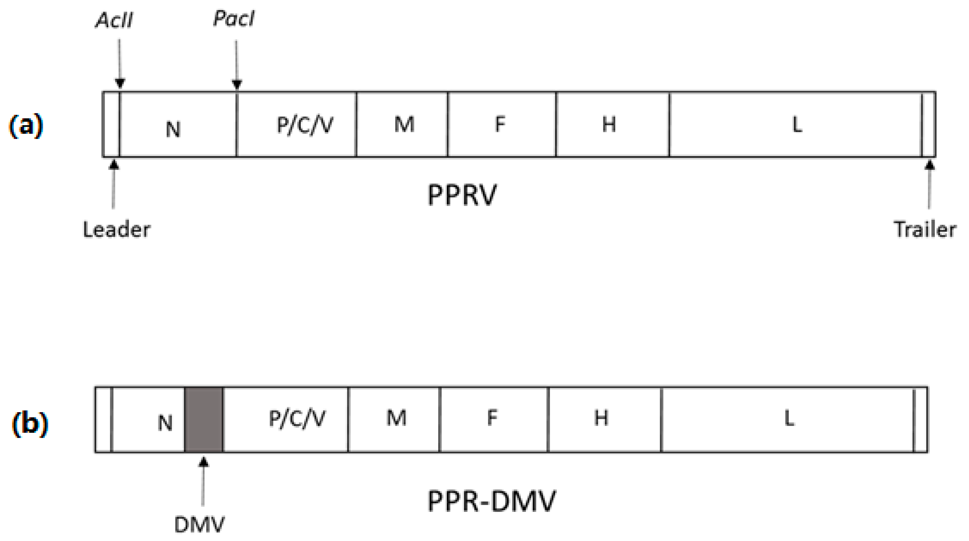 Viruses 13 02320 g001
