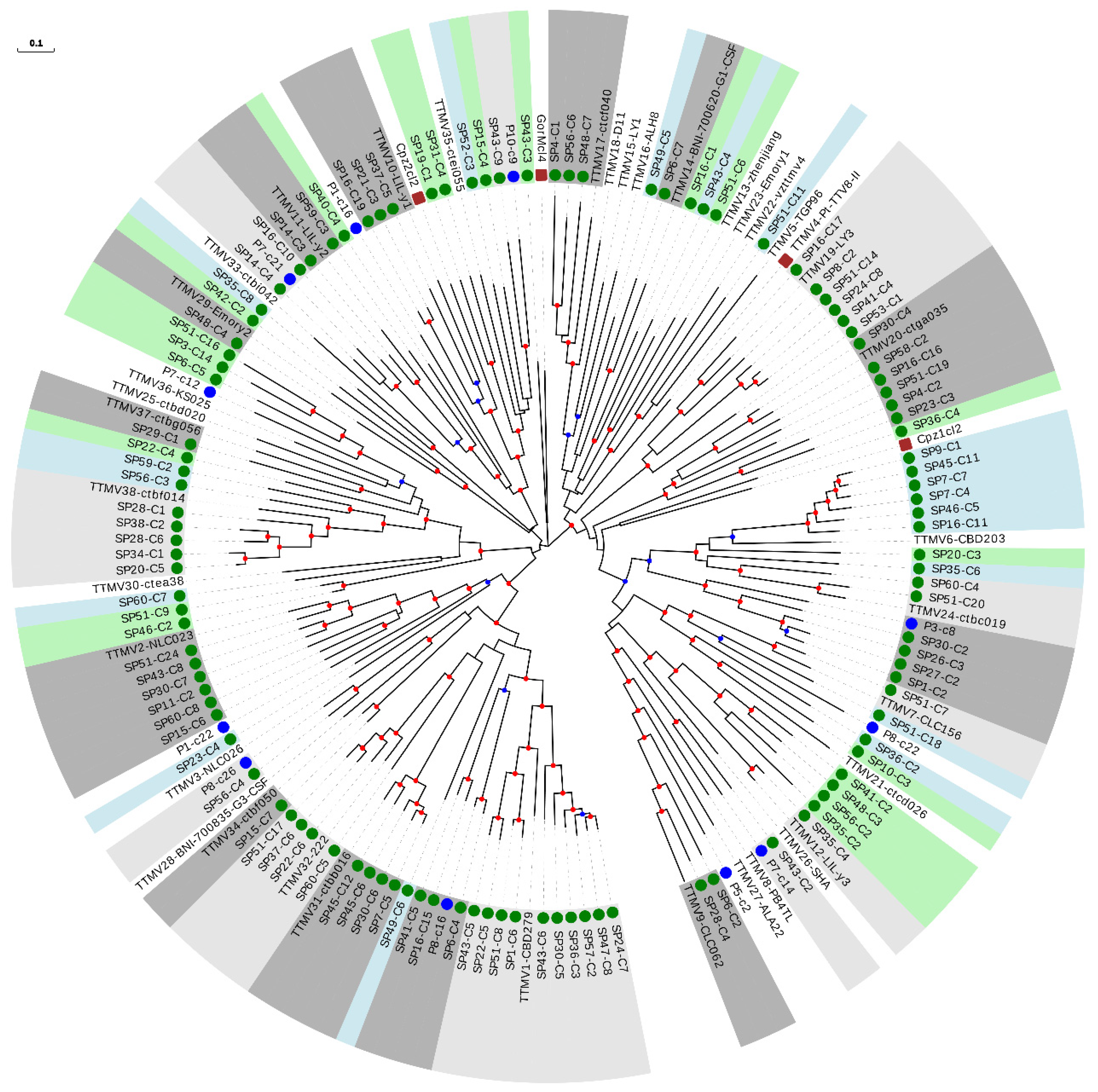 Viruses 13 02322 g003 Viruses 13 02322 g003