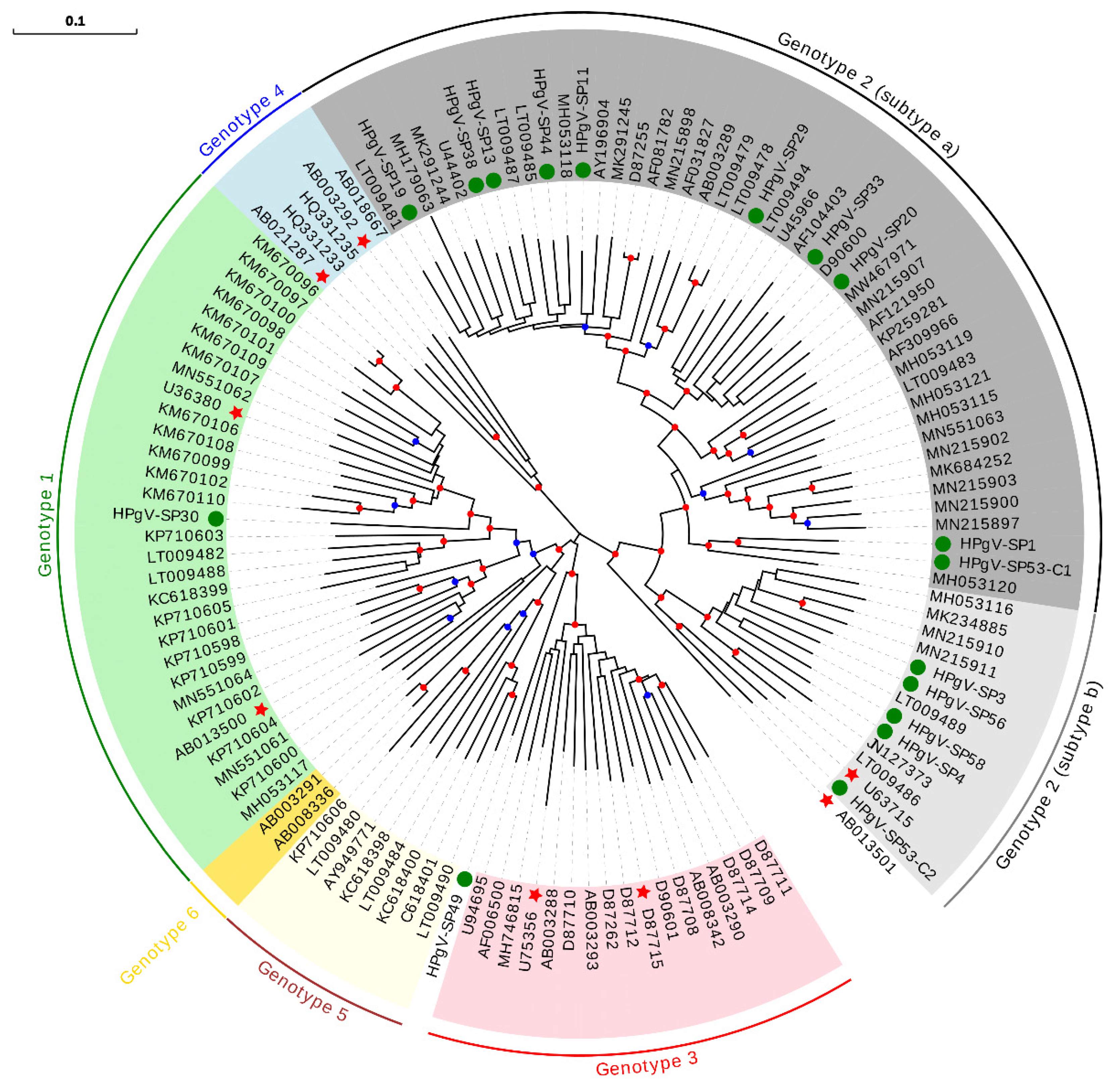 Viruses 13 02322 g005 Viruses 13 02322 g005