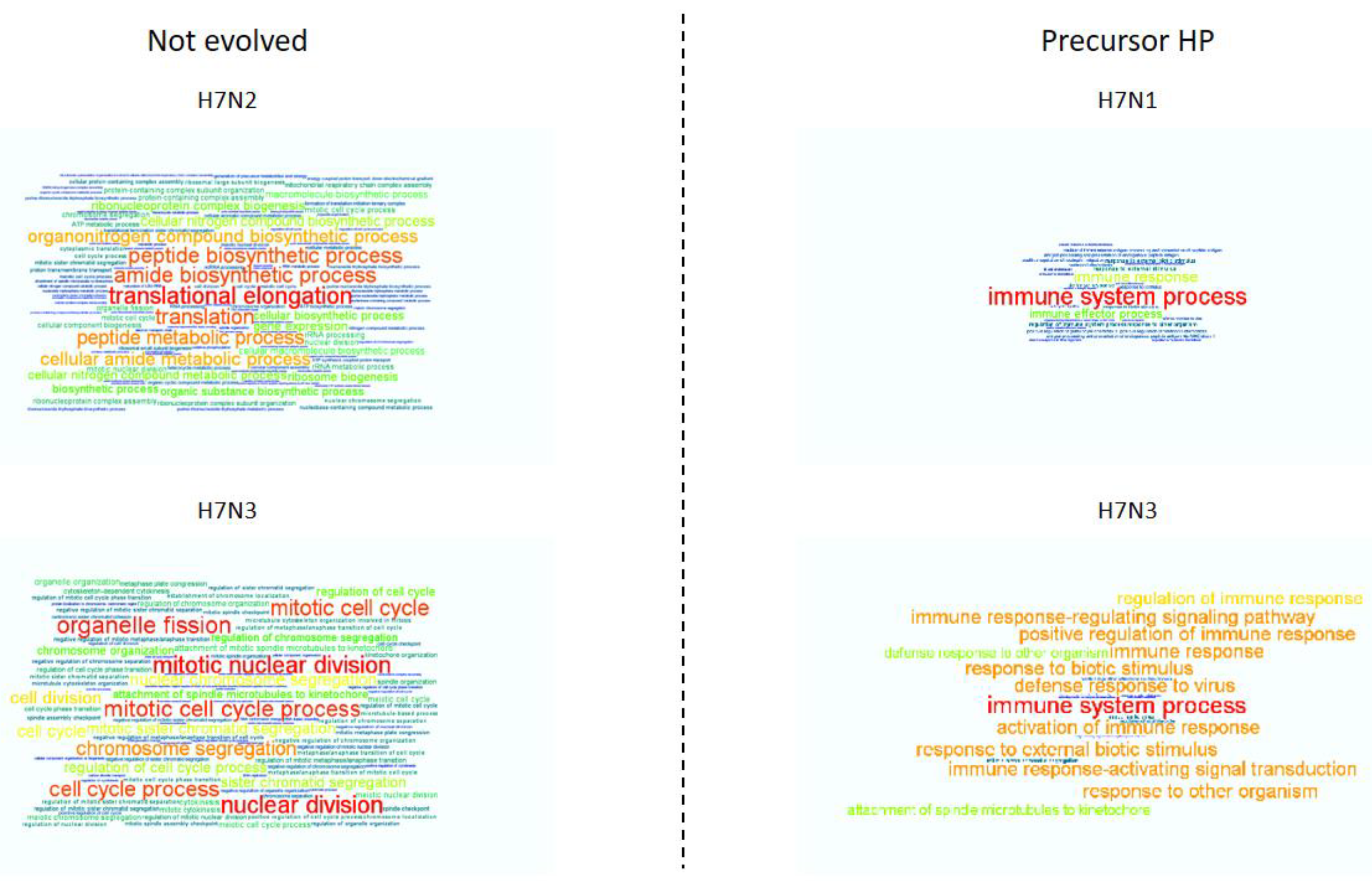 Viruses 13 02323 g004