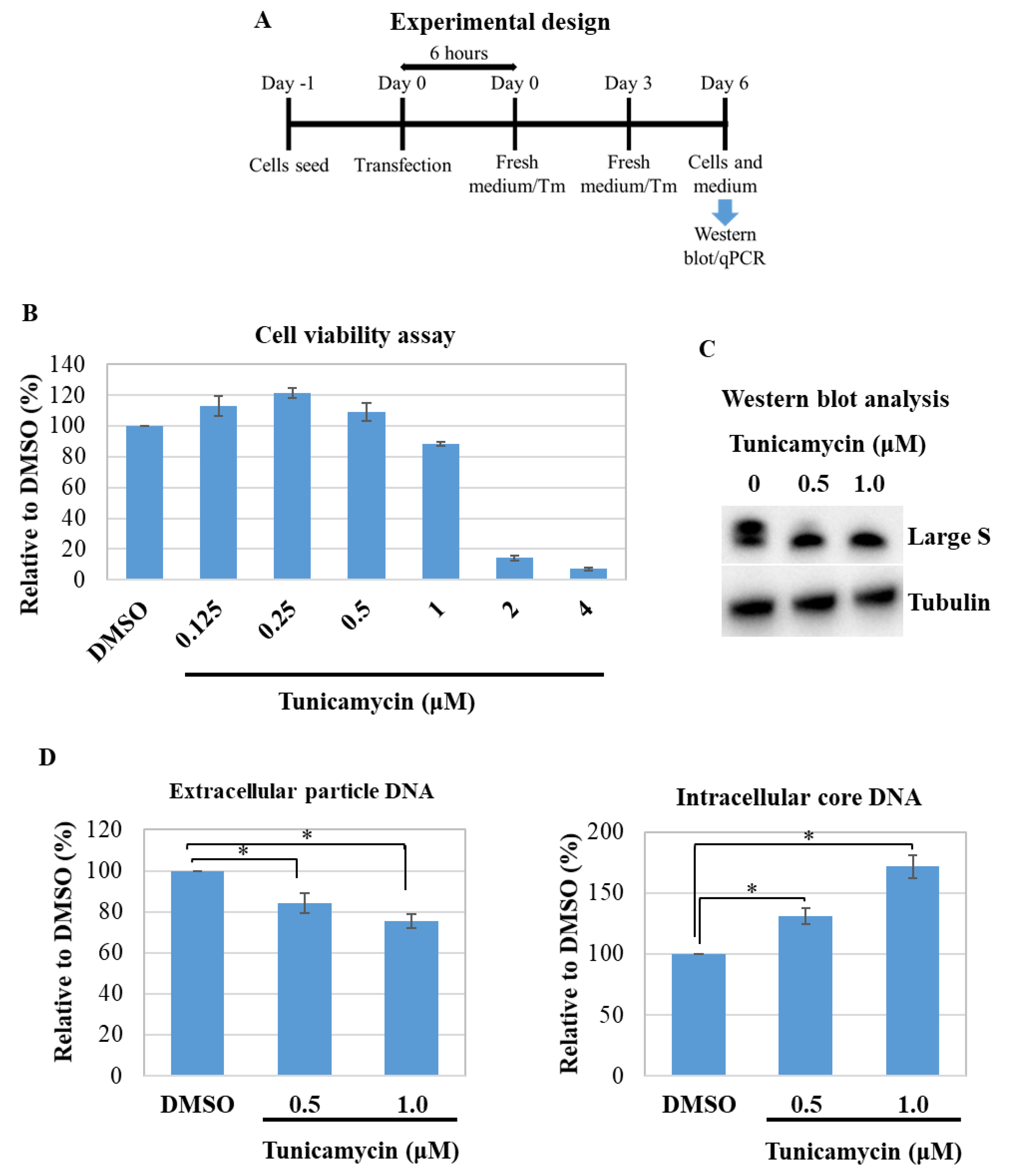 Viruses 13 02328 g004