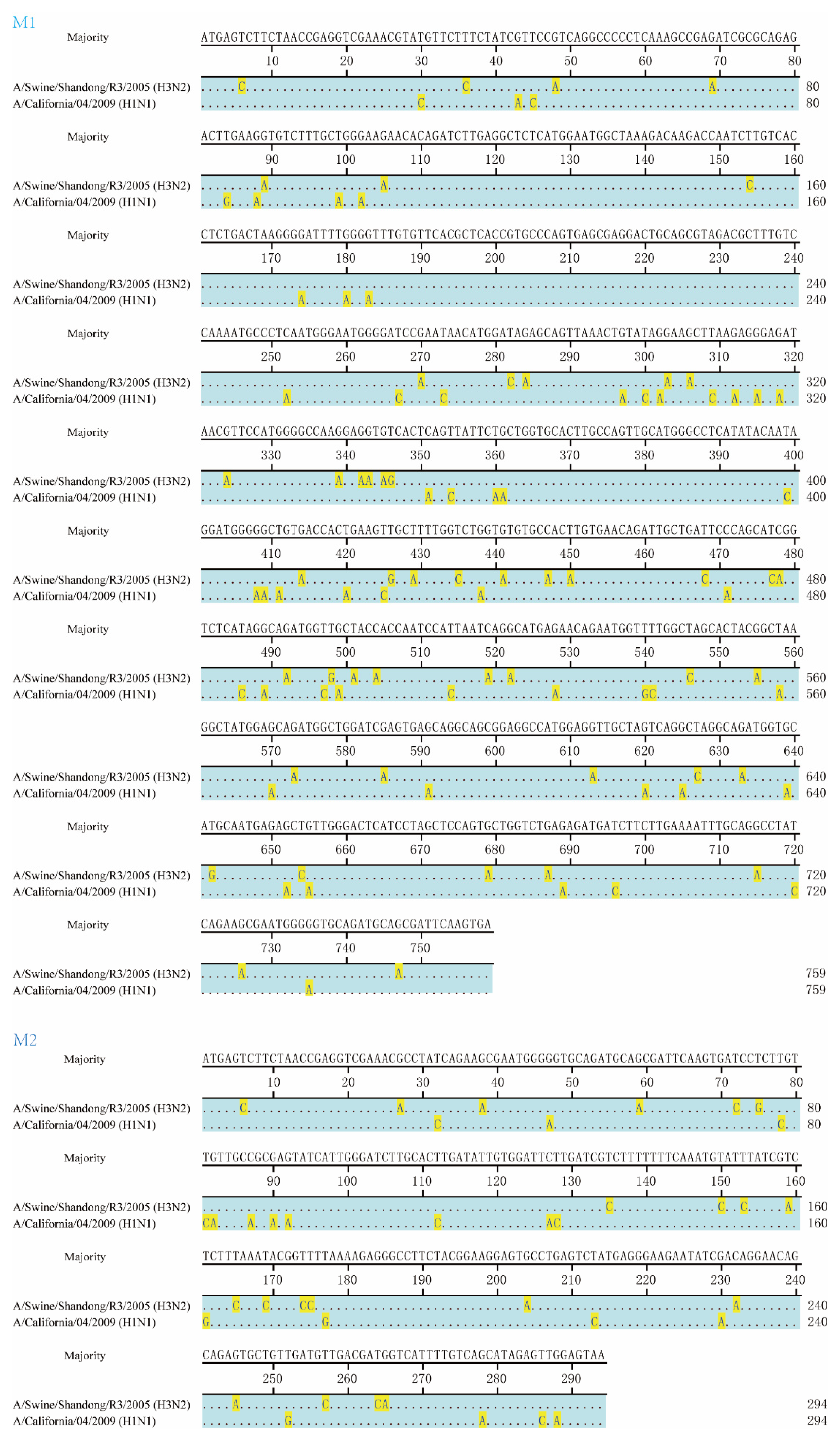 Viruses 13 02335 g001
