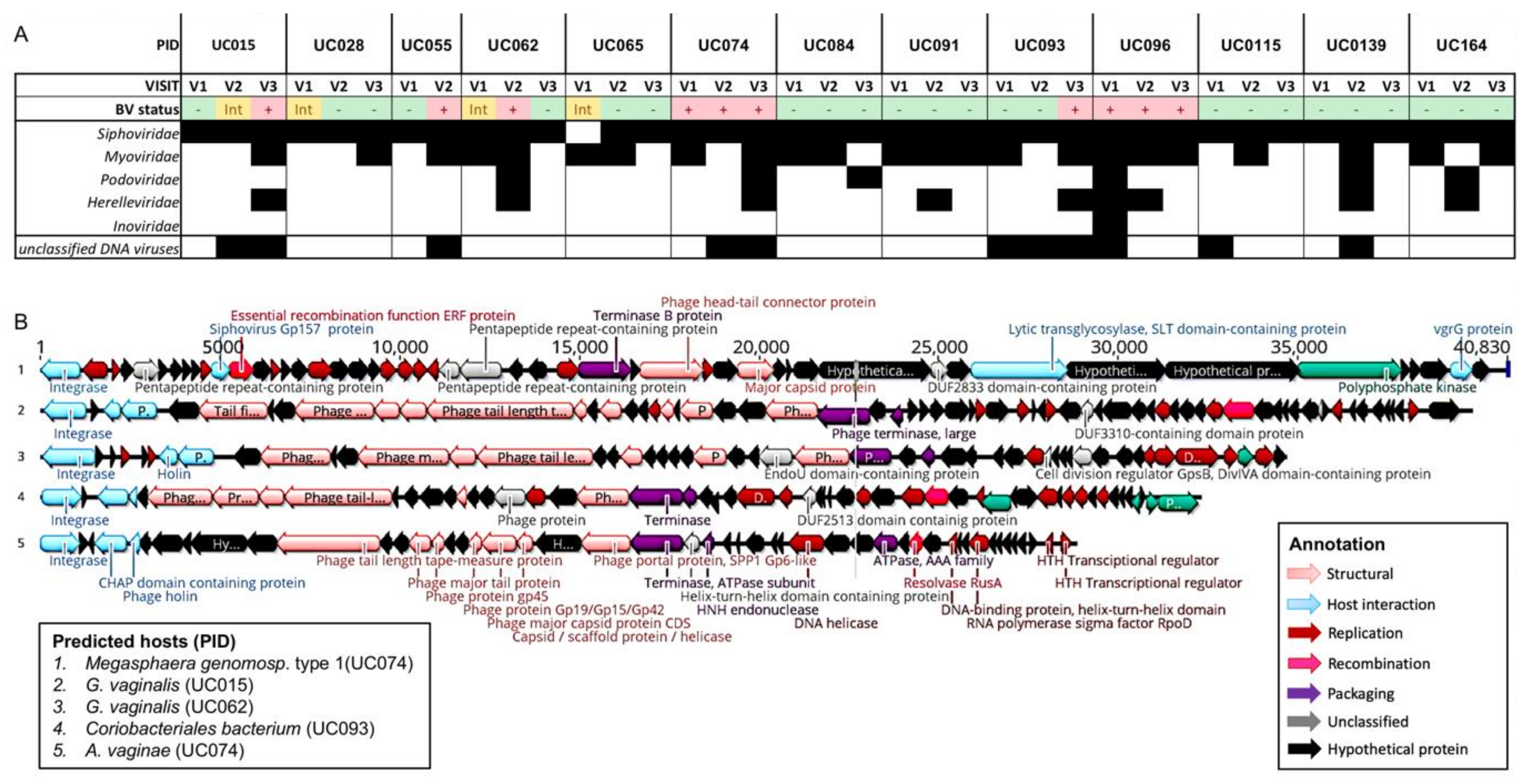 Viruses 13 02341 g003 Viruses 13 02341 g003