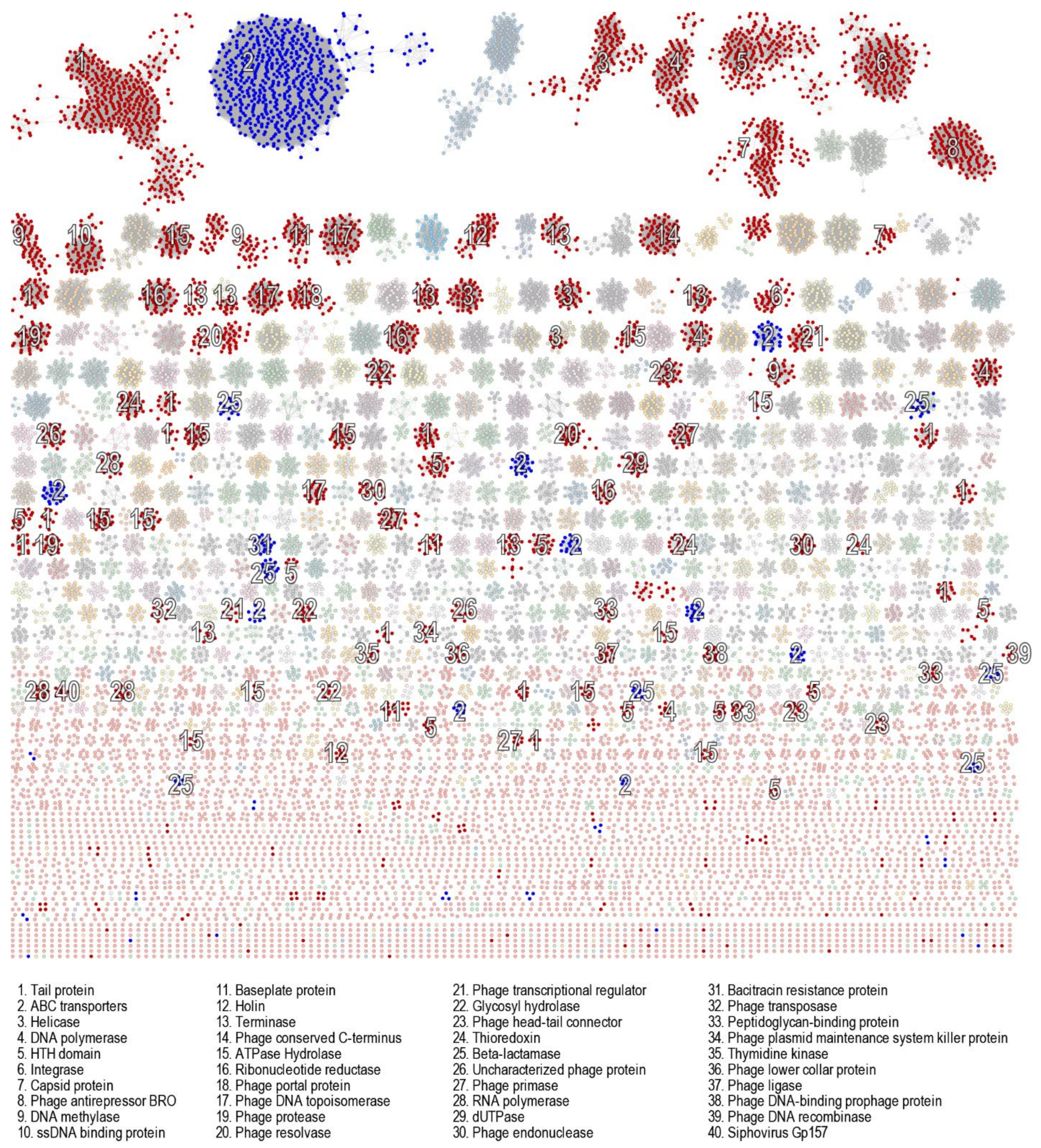 Viruses 13 02341 g009 Viruses 13 02341 g009