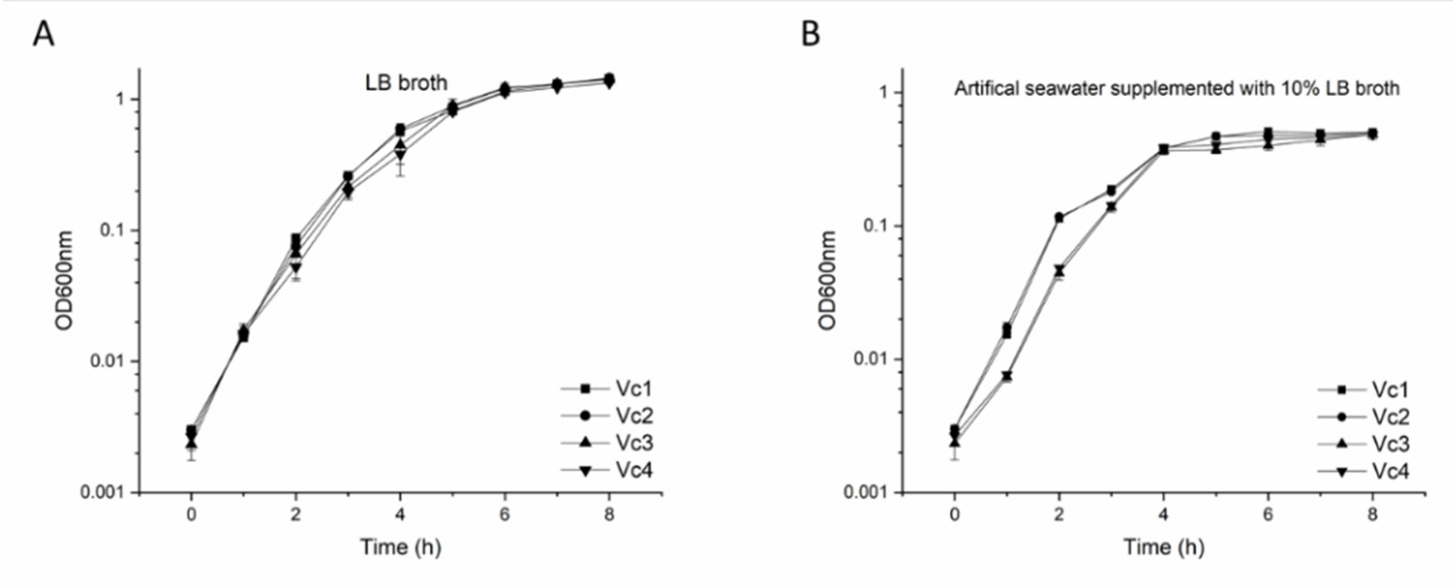 Viruses 13 02342 g005