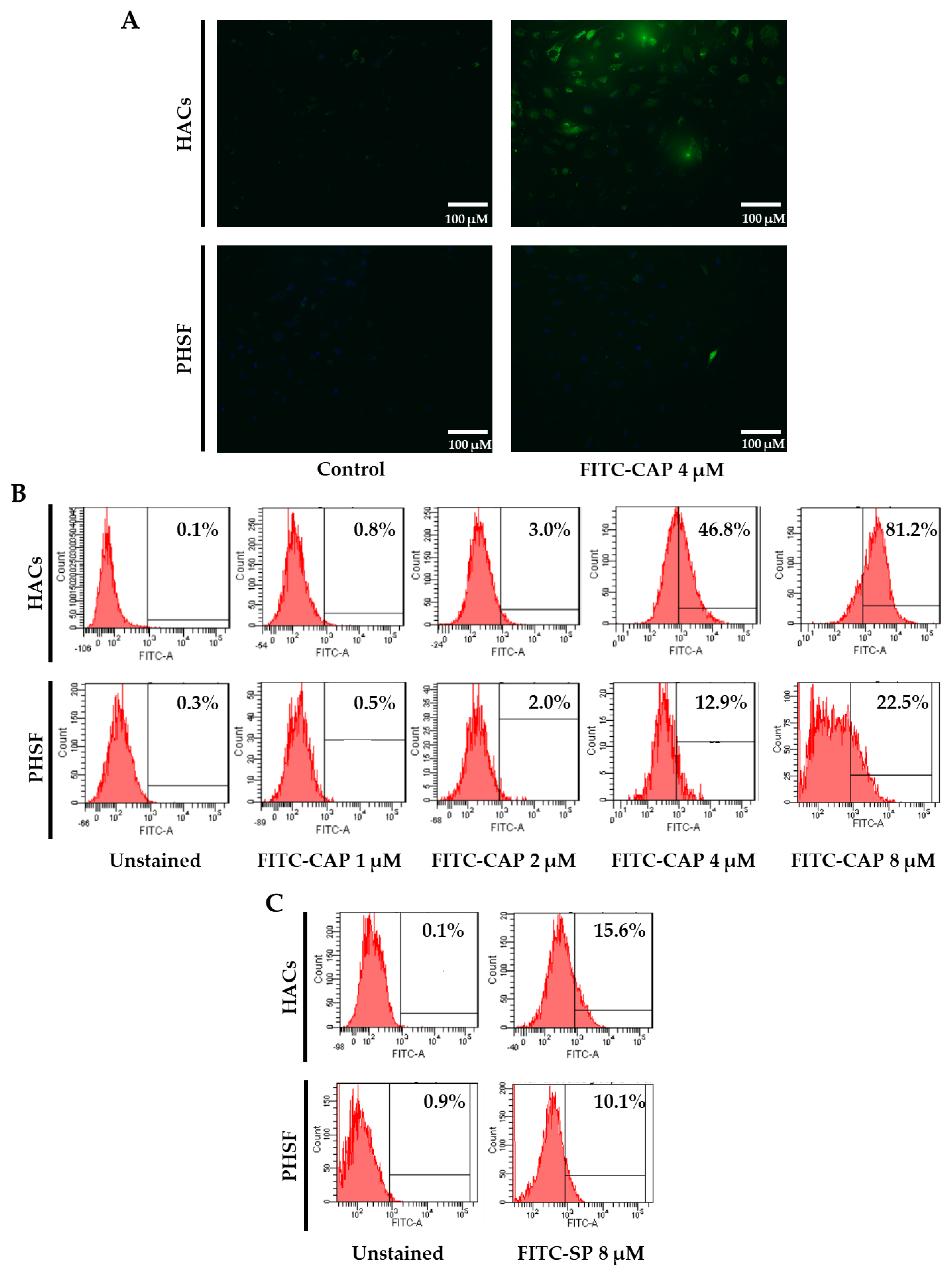 Viruses 13 02343 g001a Viruses 13 02343 g001a