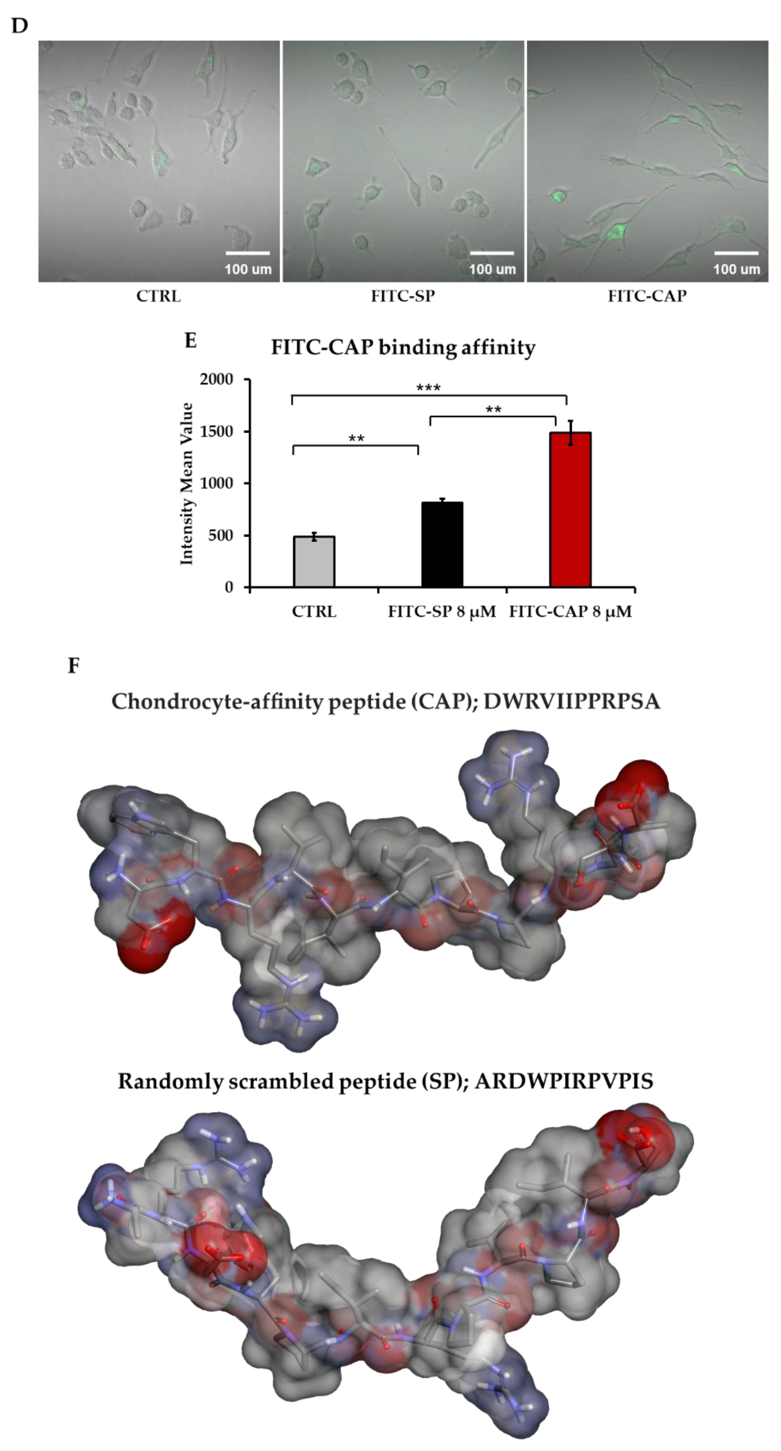 Viruses 13 02343 g001b Viruses 13 02343 g001b