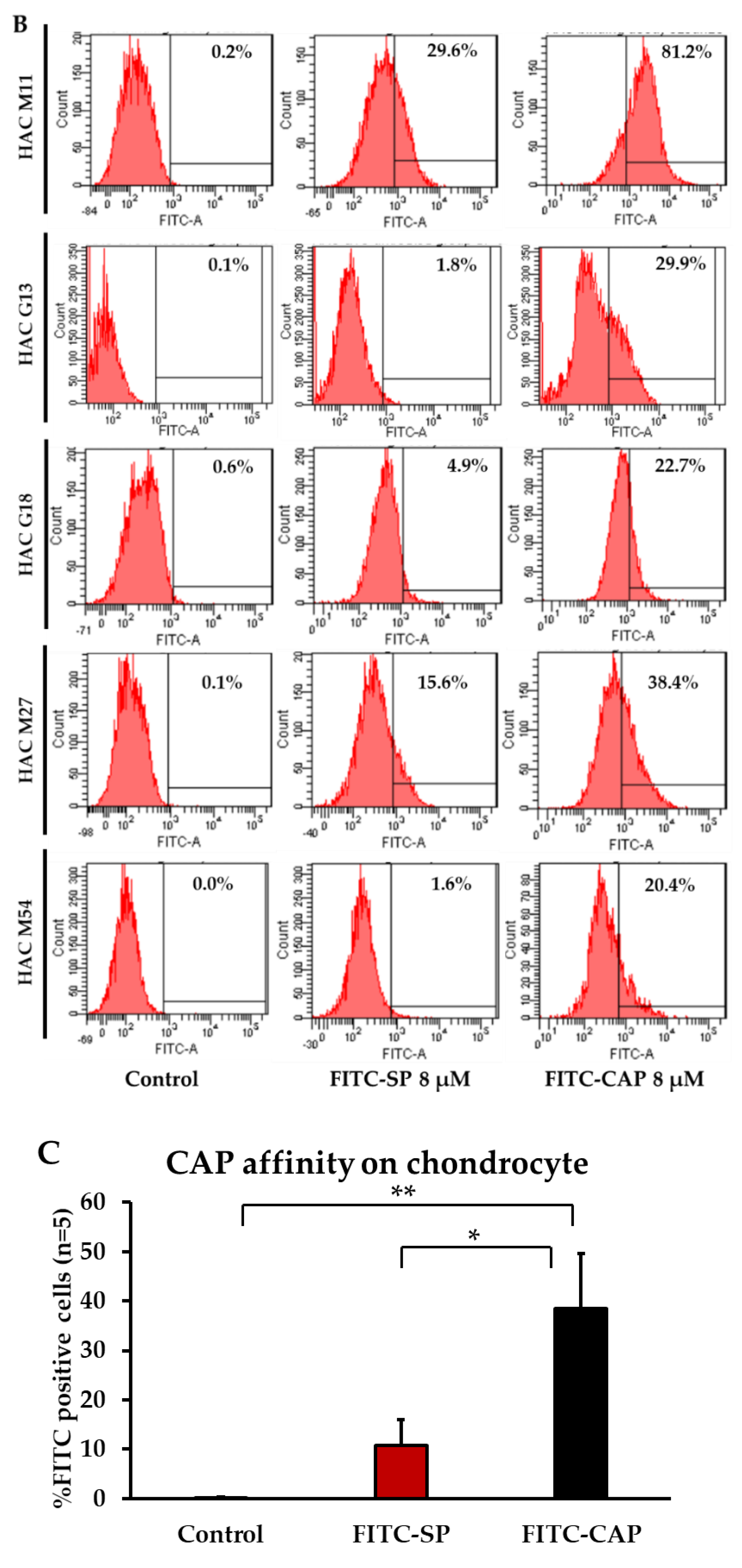Viruses 13 02343 g002b Viruses 13 02343 g002b