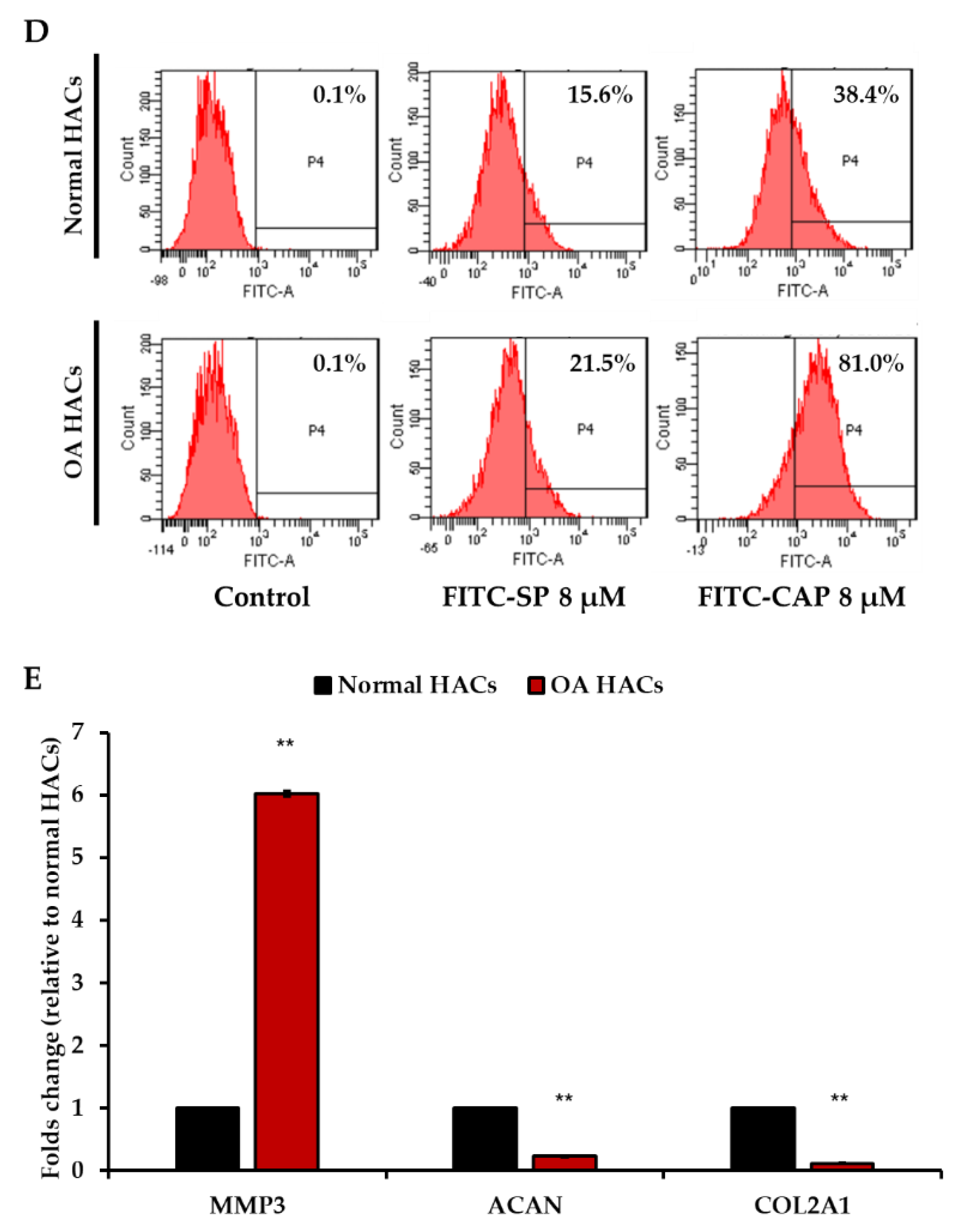 Viruses 13 02343 g002c Viruses 13 02343 g002c