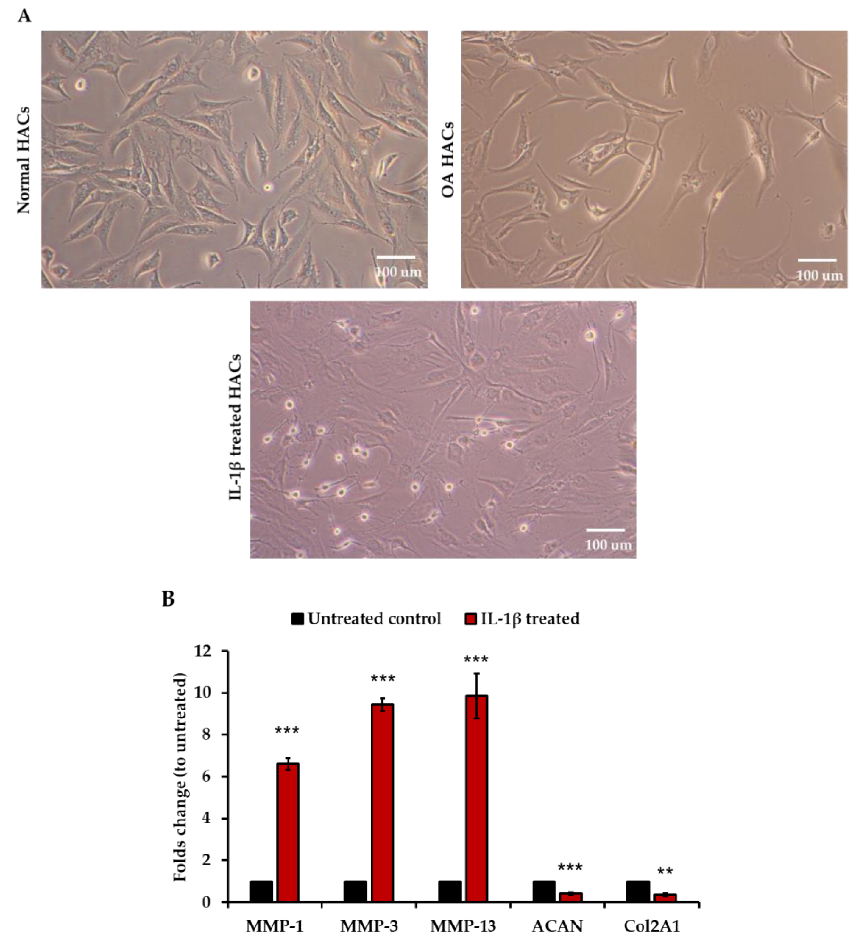 Viruses 13 02343 g003a Viruses 13 02343 g003a
