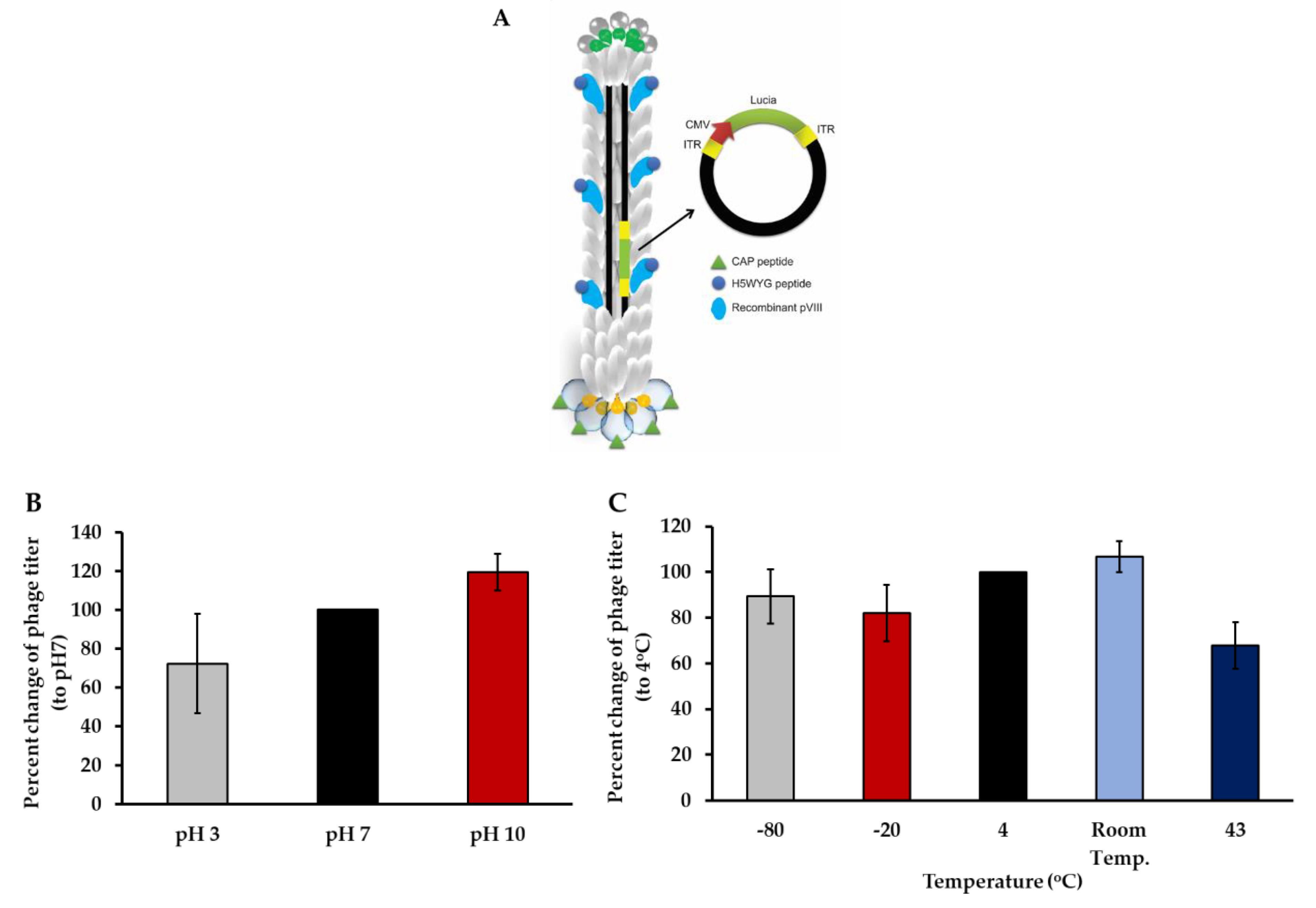 Viruses 13 02343 g004a Viruses 13 02343 g004a