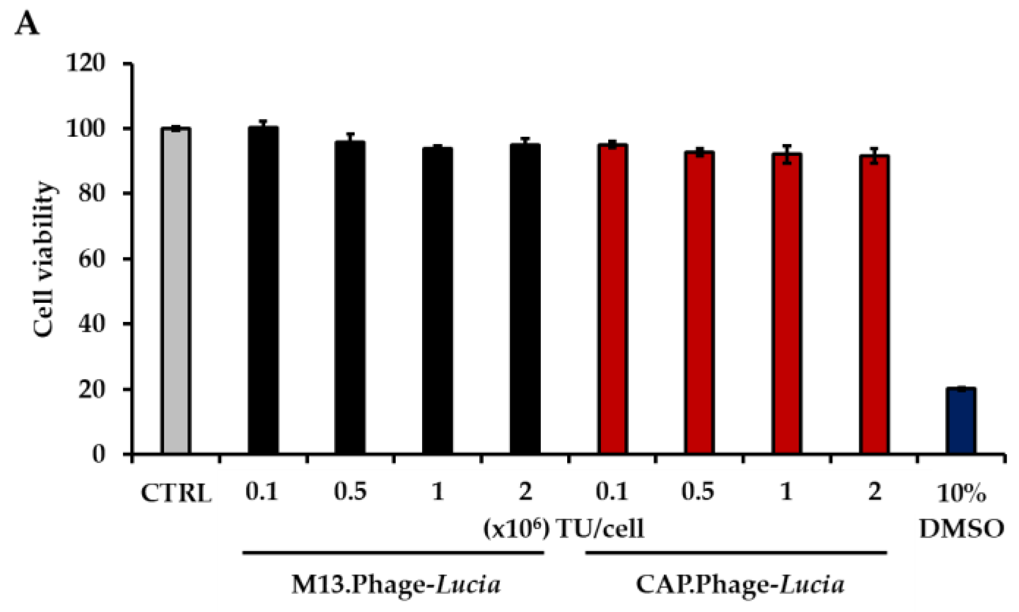 Viruses 13 02343 g005a Viruses 13 02343 g005a