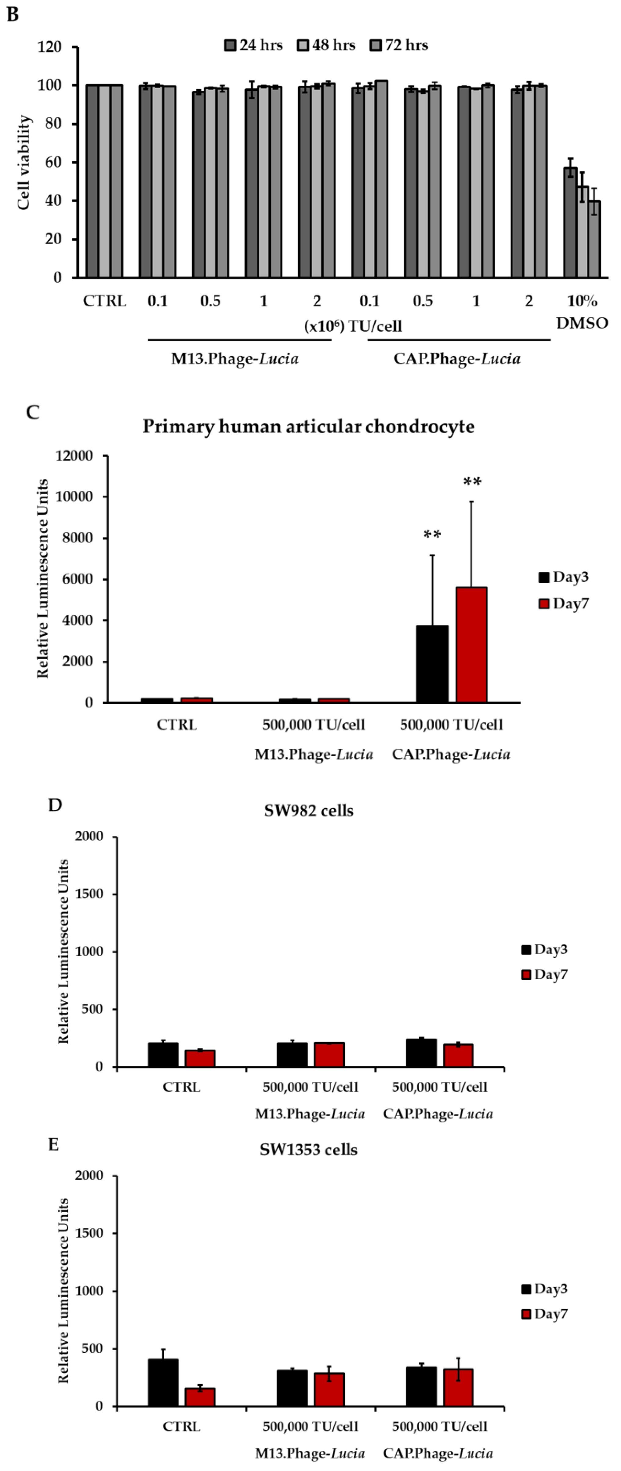 Viruses 13 02343 g005b Viruses 13 02343 g005b