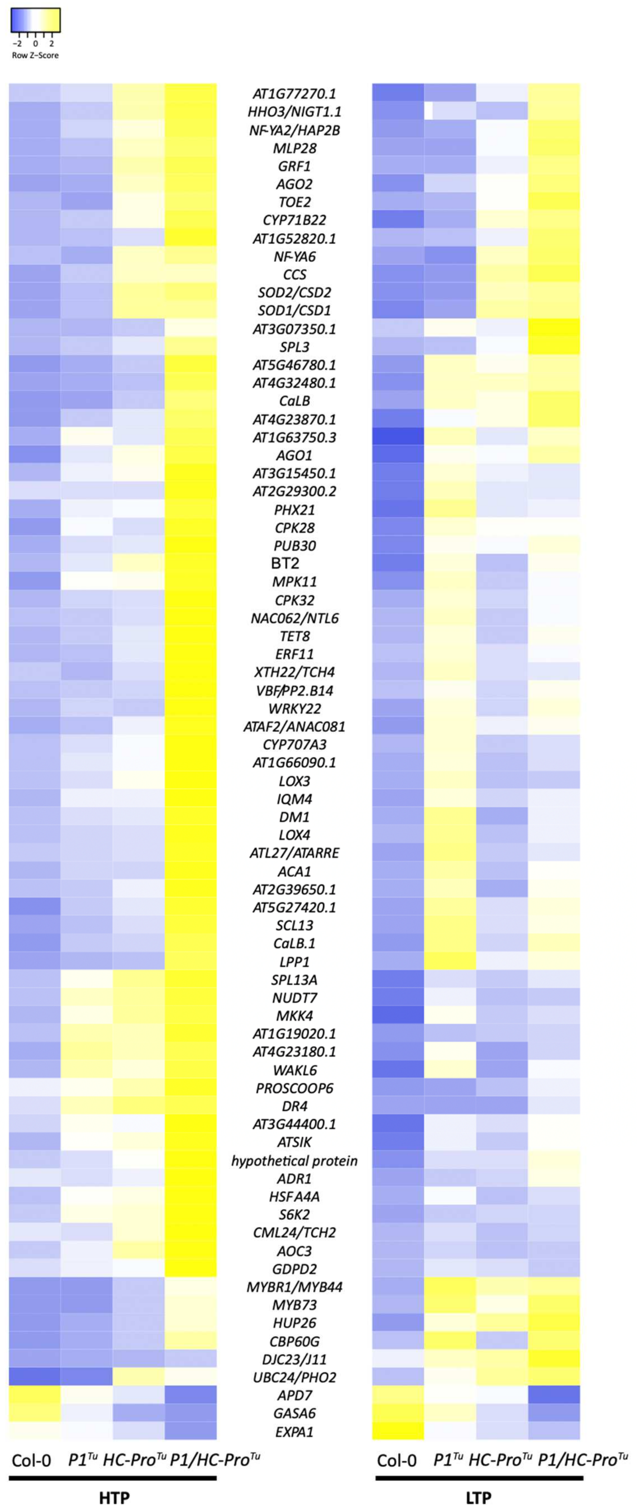 Viruses 13 02349 g010 550