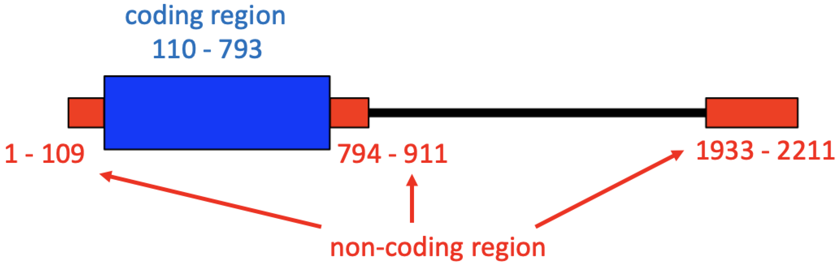 Viruses 13 02350 g001
